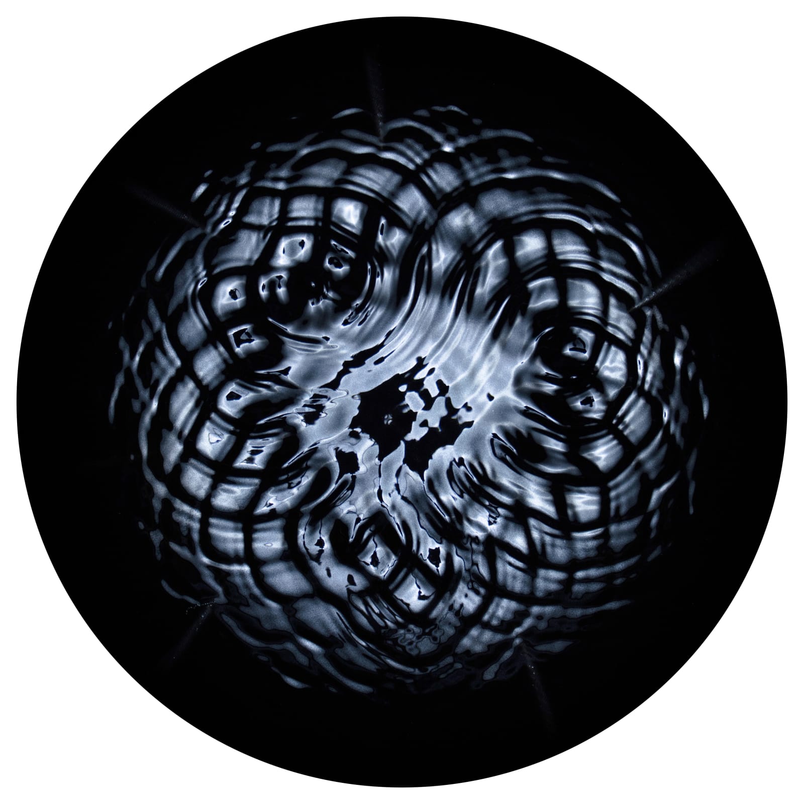 Gary James Joynes, Fibonacci Flower No.4, 2023