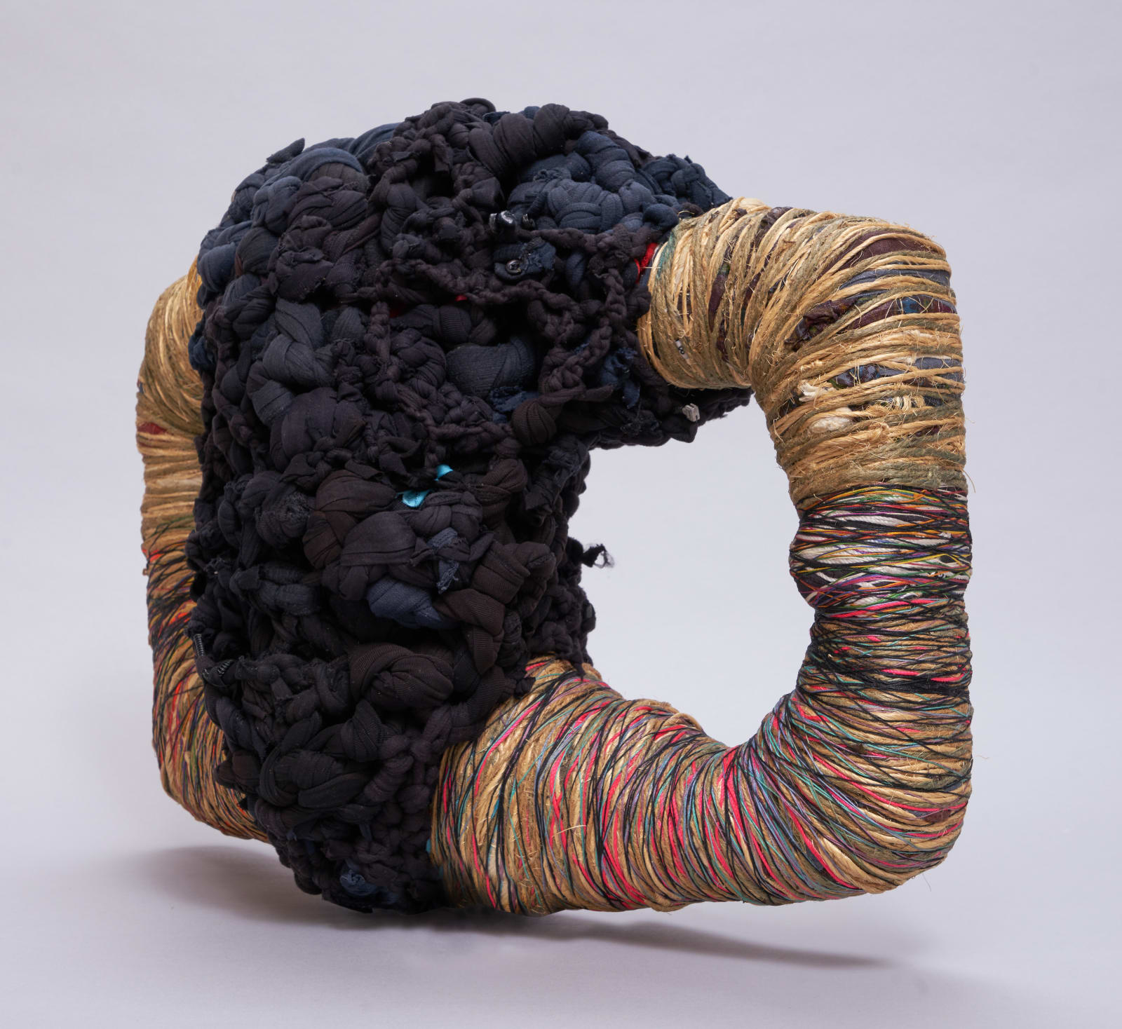Dianne Smith, Hidden Beauty, 2011