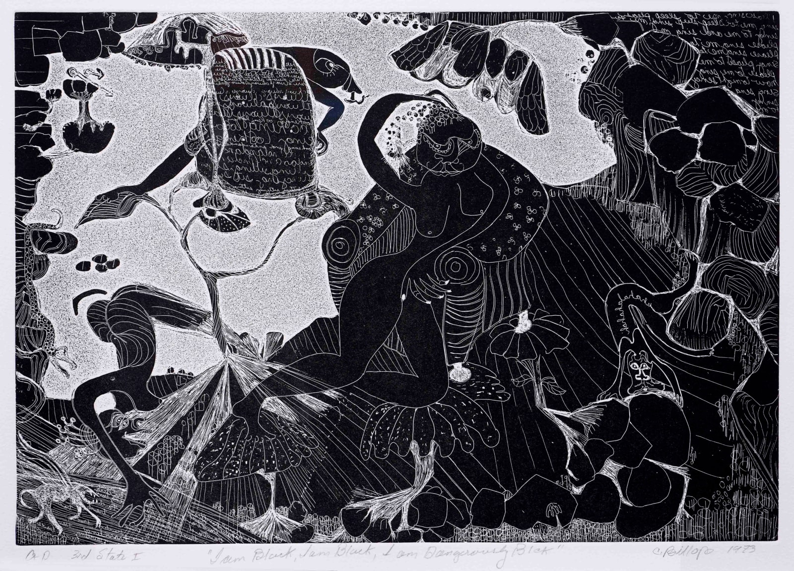 Camille Billops, I Am Black, I Am Black, I Am Dangerously Black, 1973
