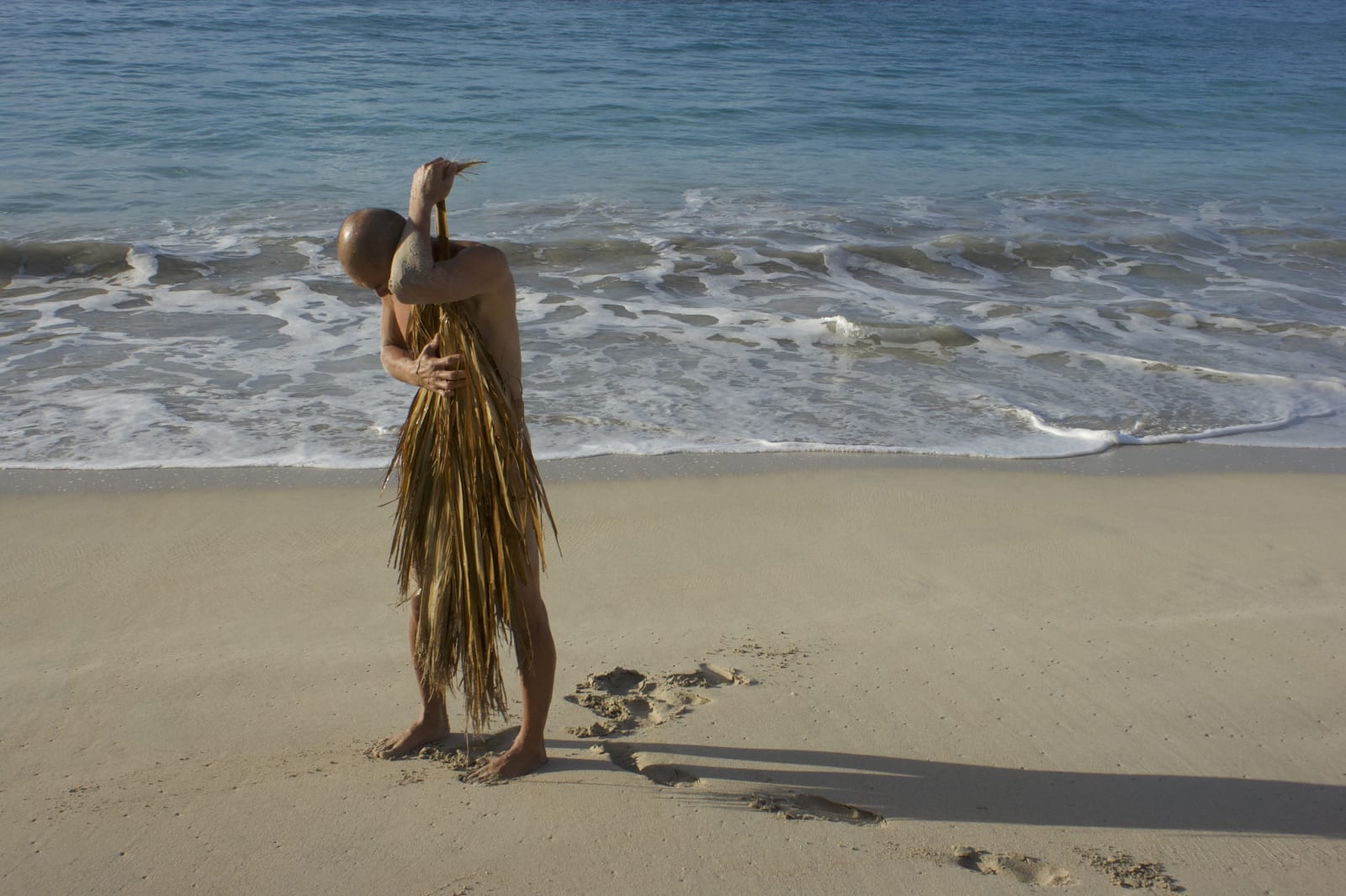 Ed Pien, The longing, 2011