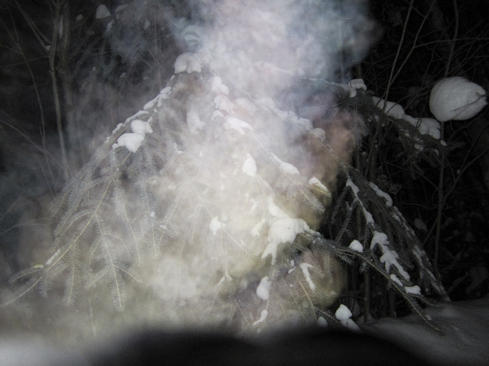 Ed Pien, Breath: Pink Glow, 2013