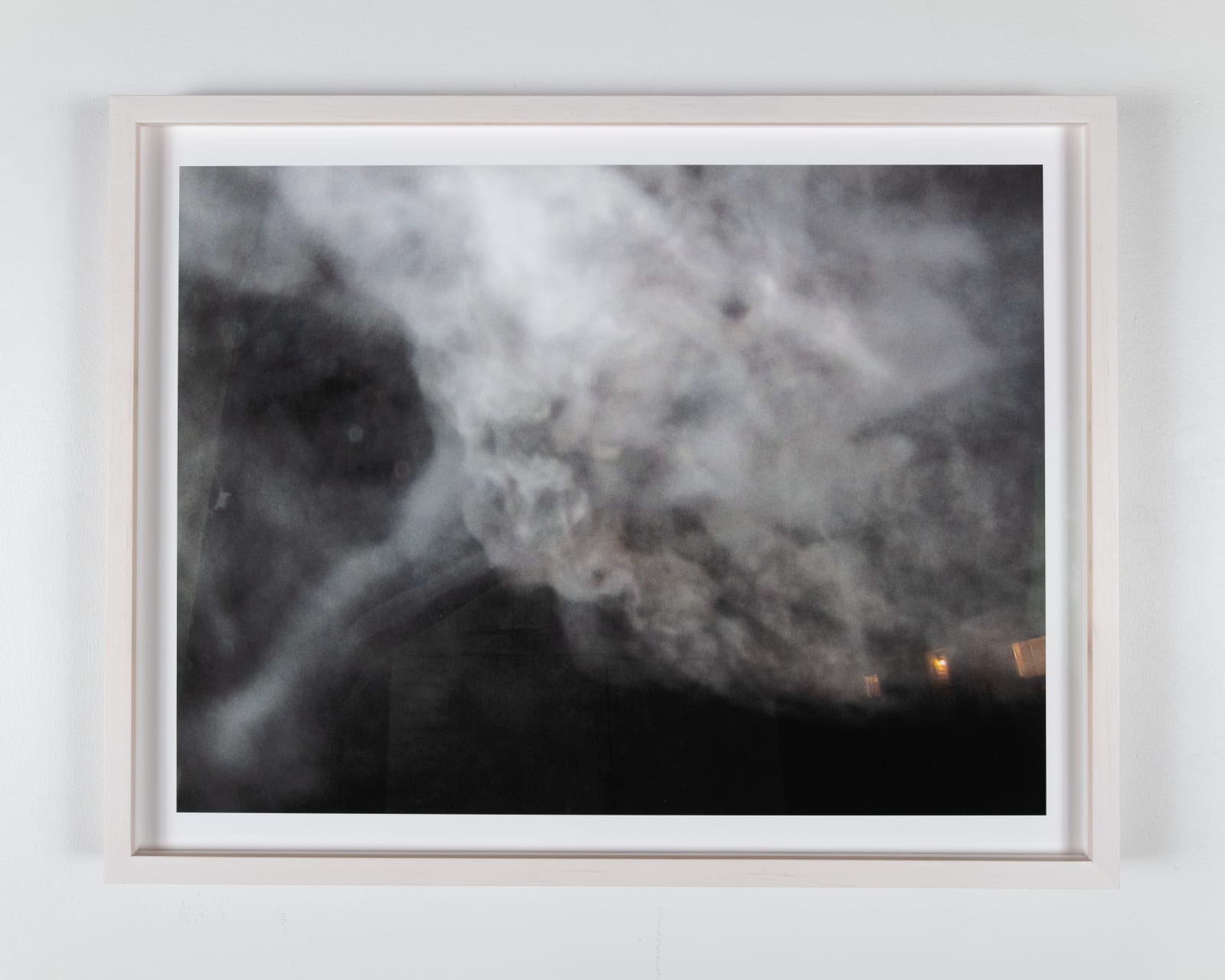Ed Pien, Breath: Shed, 2013