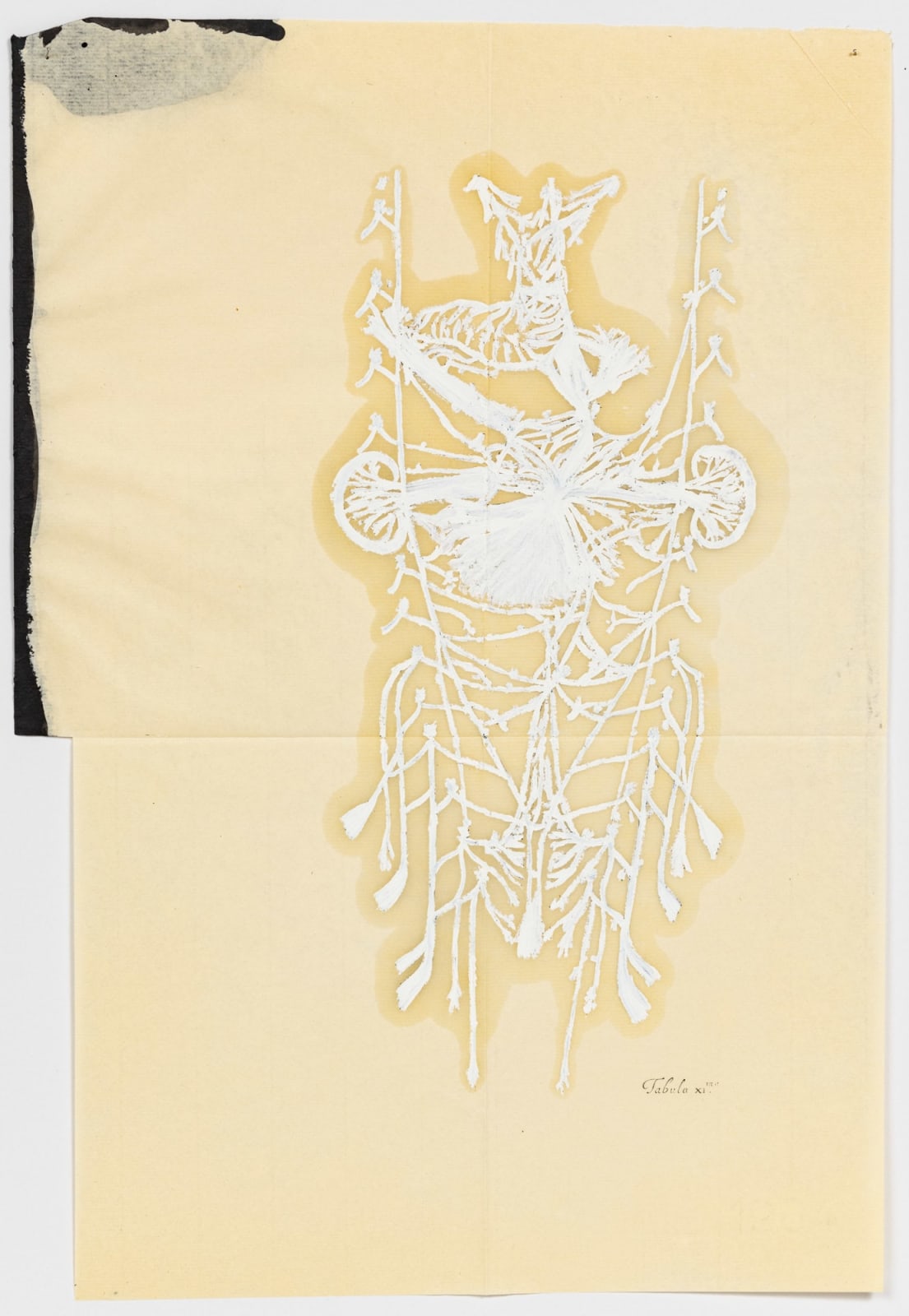 Caroline Boileau, Je m’innerve toute seule, une fois, deux fois, trois fois (3), 2018-2019