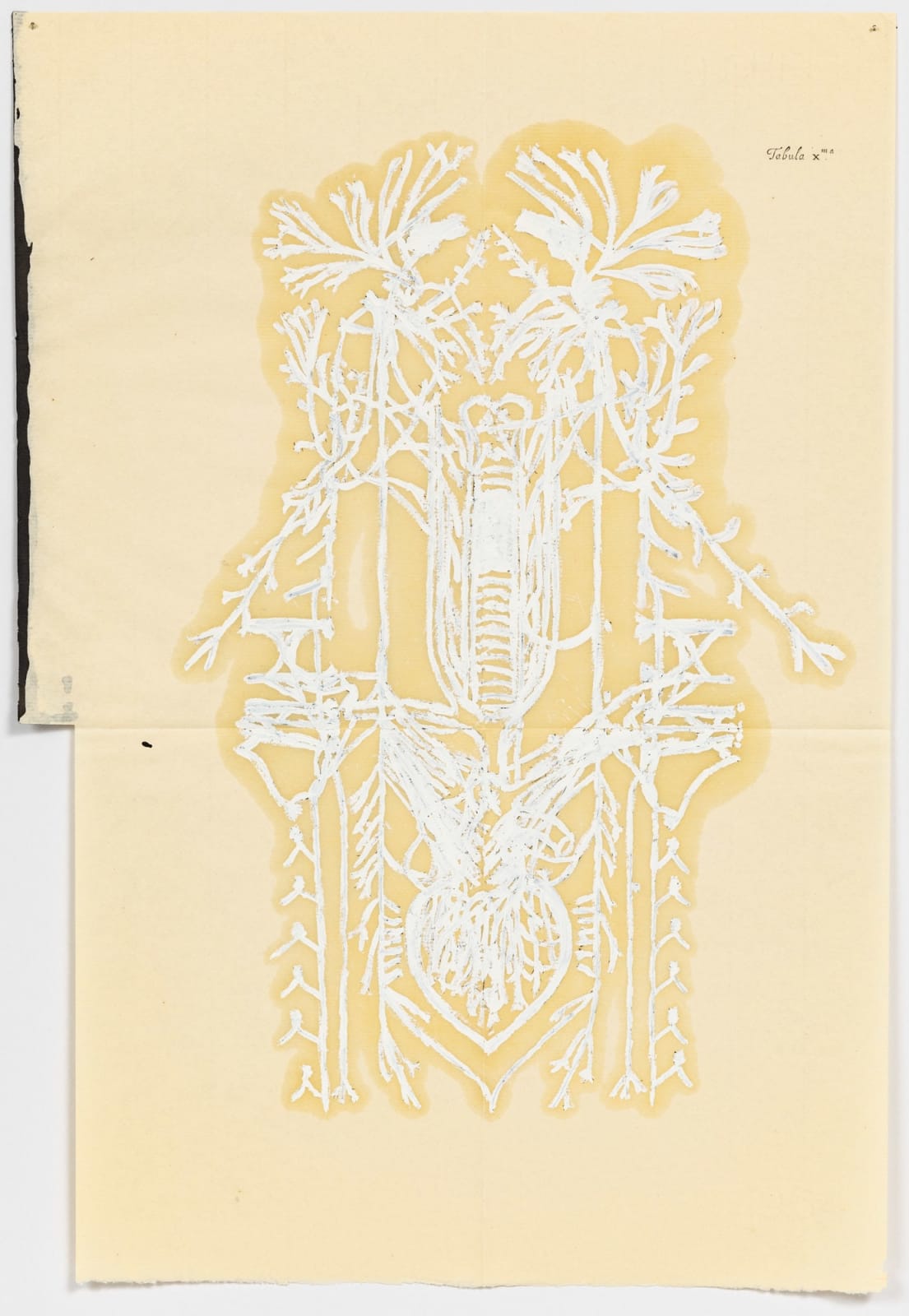 Caroline Boileau, Je m’innerve toute seule, une fois, deux fois, trois fois (2), 2018-2019