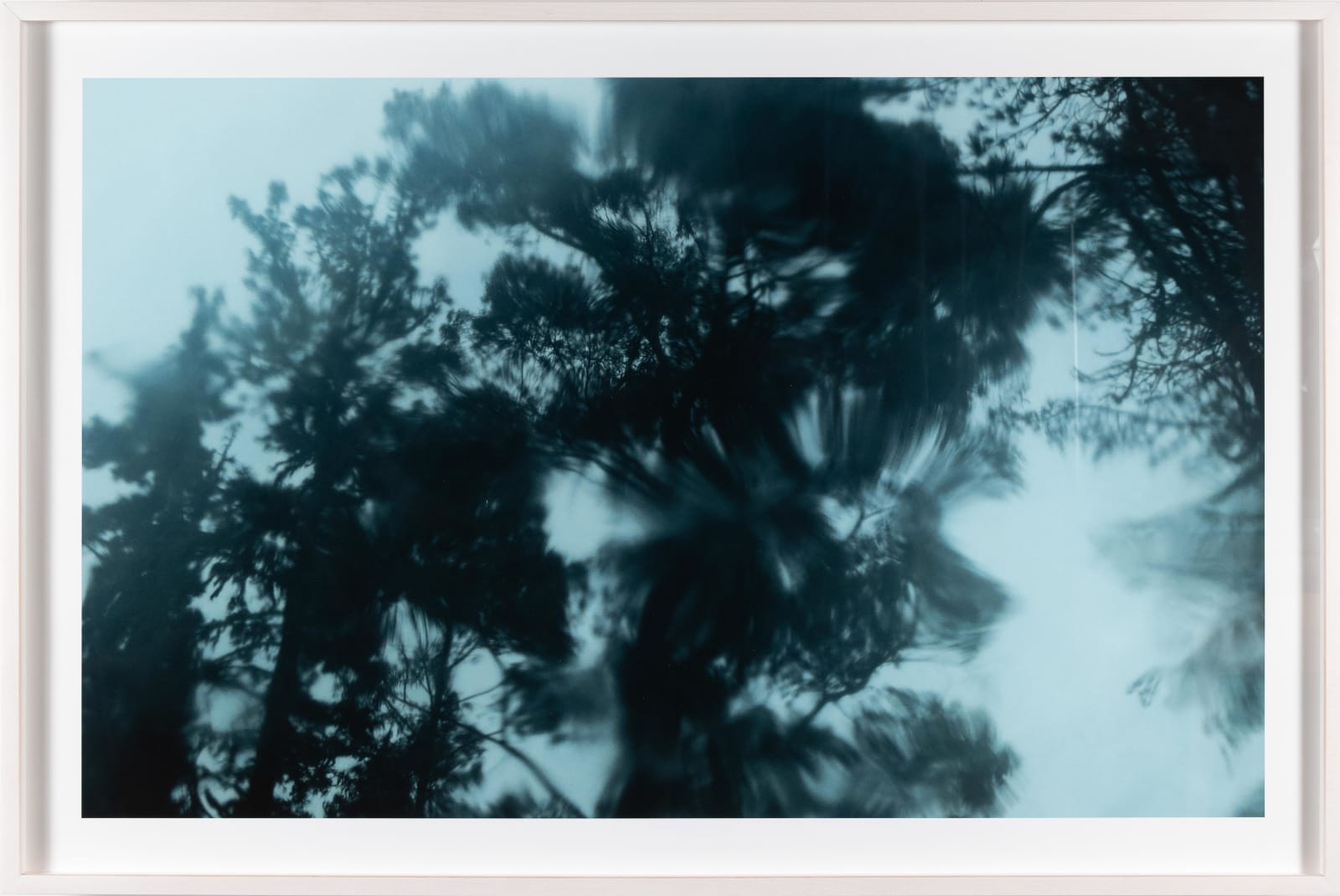 Ed Pien, RainForest 2, 2016