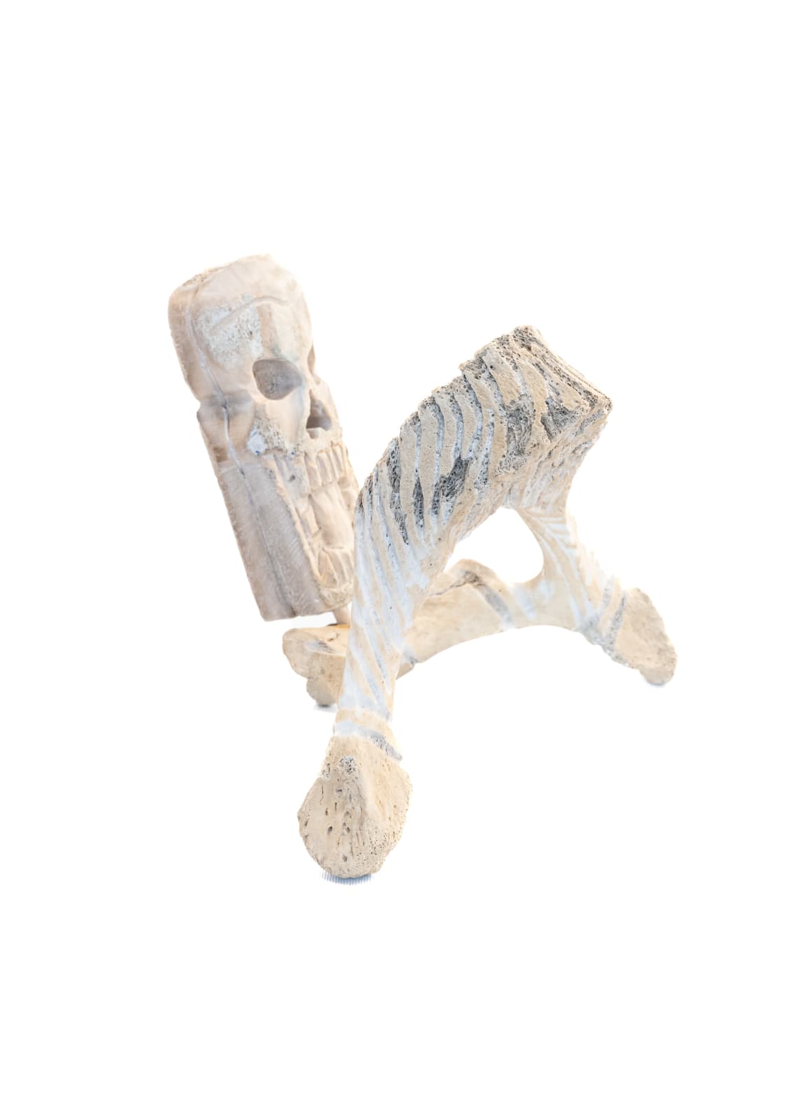 Samonie Toonoo, Bone Spirits, 2017