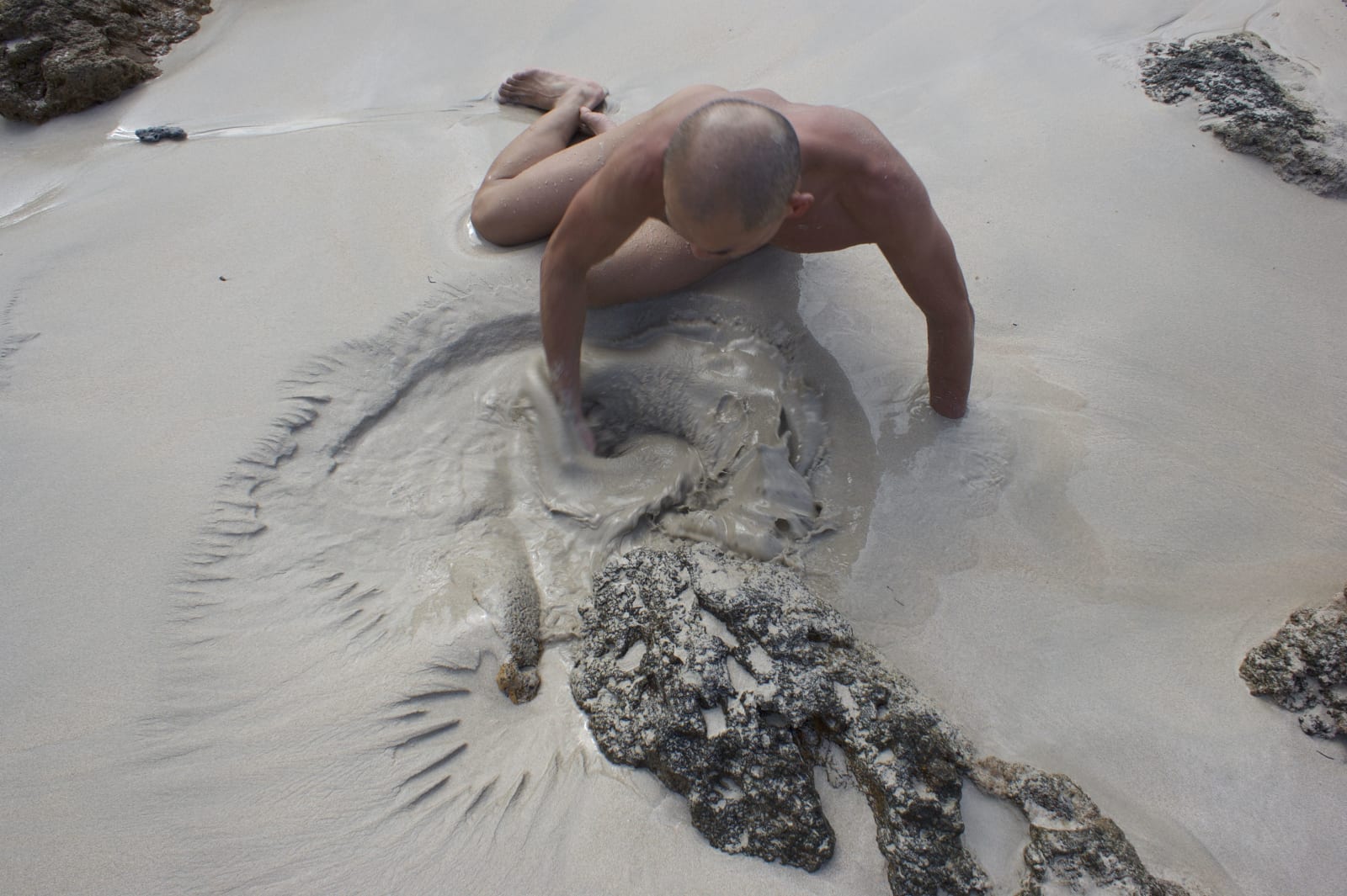 Ed Pien, Stirring, 2011