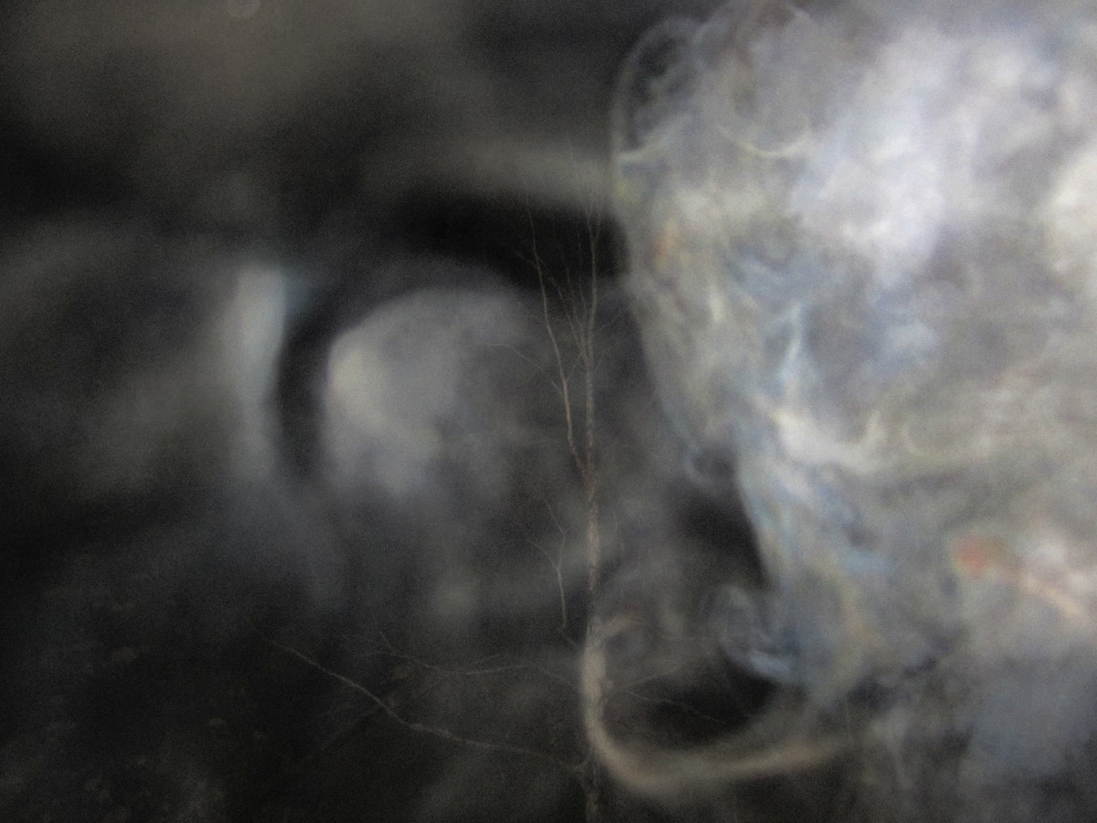 Ed Pien, Breath: Mysteries, 2013