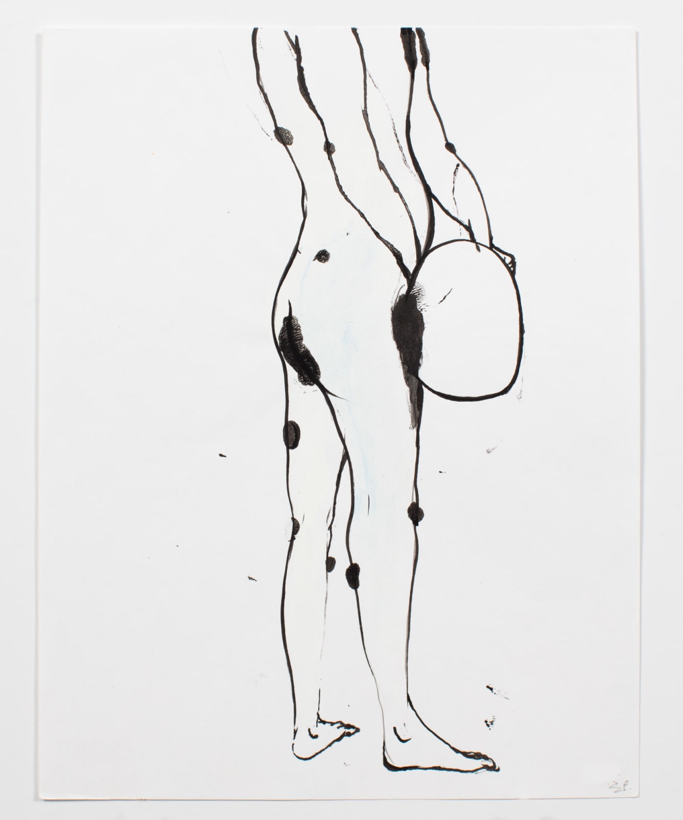 Ed Pien, A New Toy, 1999