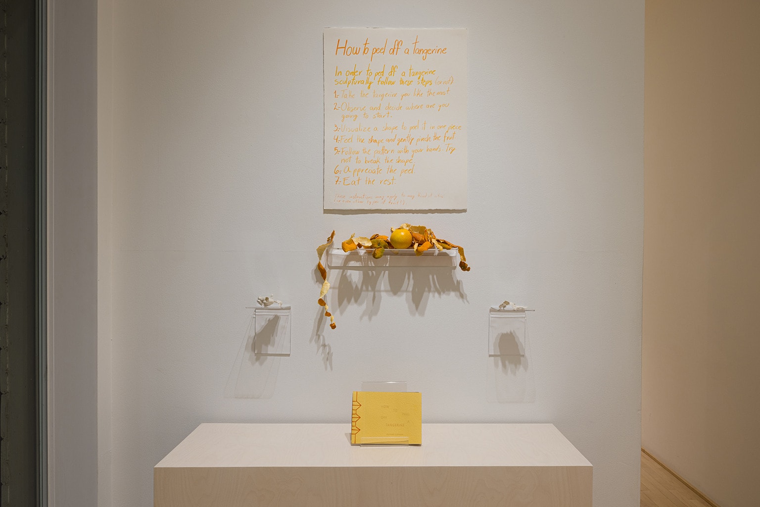 Armando Cuspinera, How To Peel Off A Tangerine (Book) no. 2, 2025