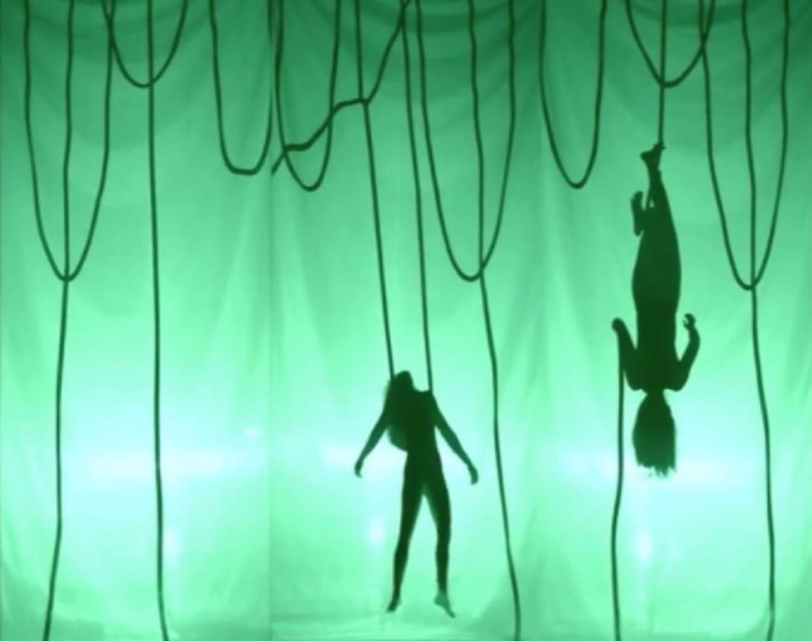 Ed Pien, Arial Dance, 2008