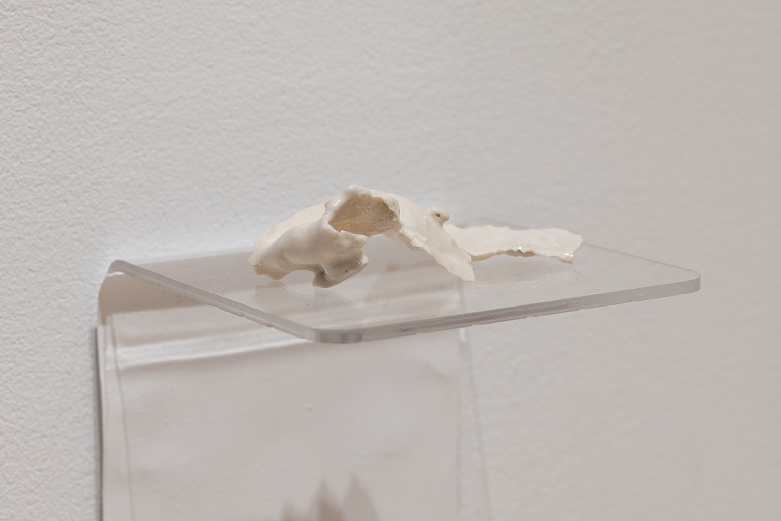 Armando Cuspinera, Peel no. 27, 2024