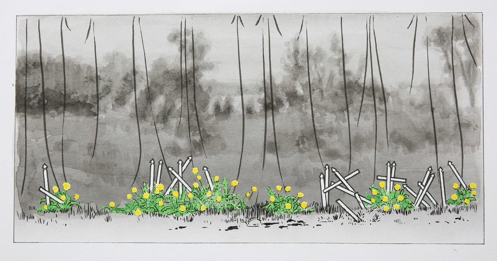 Dil Hildebrand, Dandelions, 2025