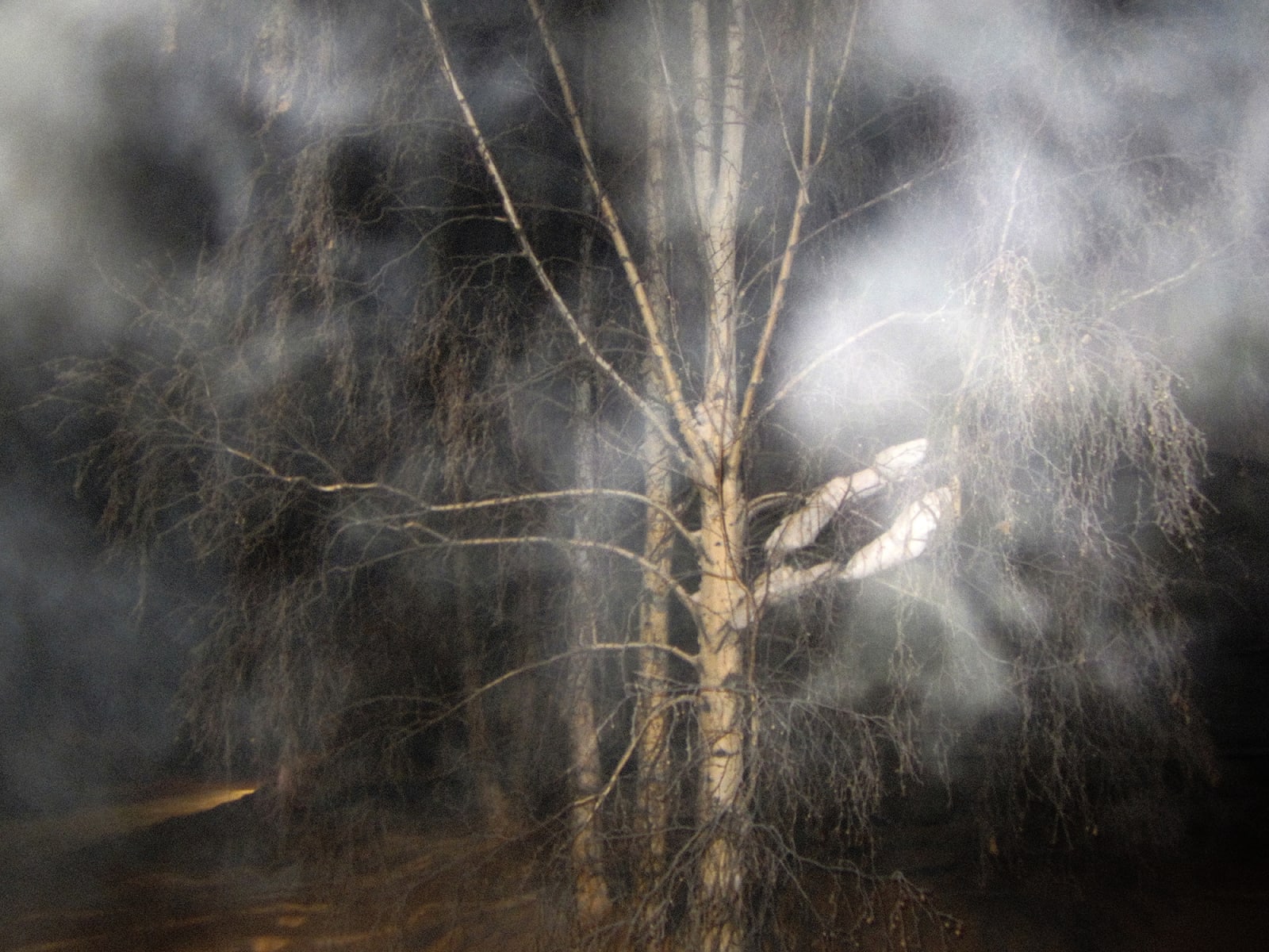 Ed Pien, Breath: White on White, 2013