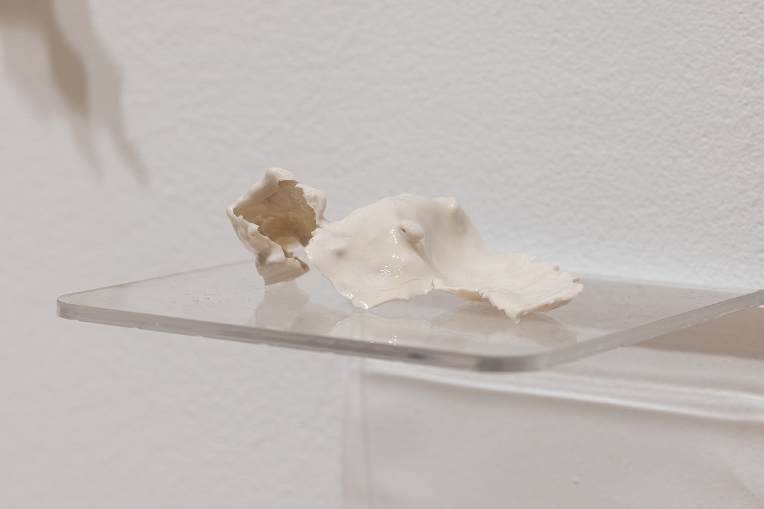 Armando Cuspinera, Peel no. 33, 2024
