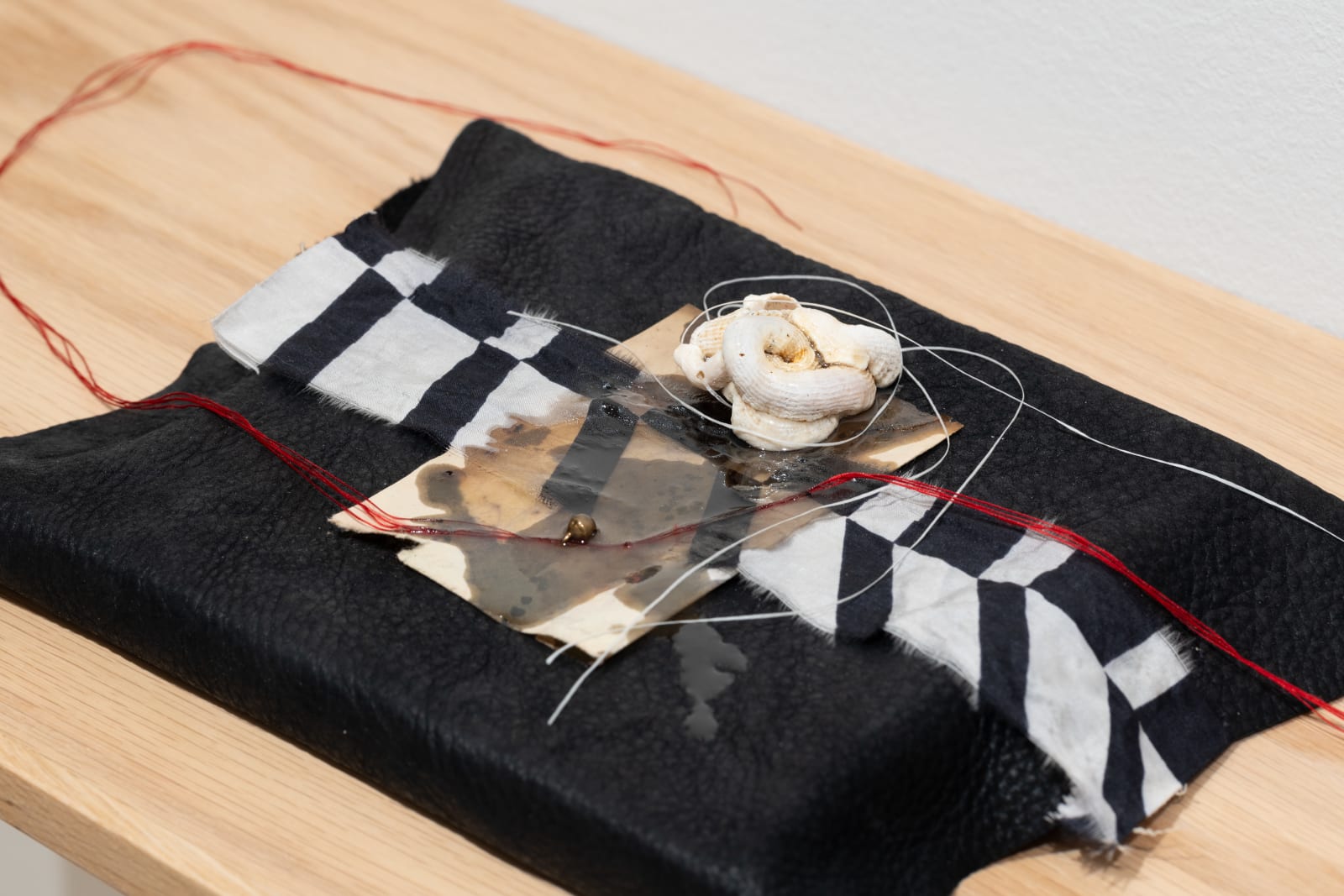 Jamie Ross, Apotropaia (i), 2023