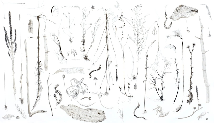 Ripley Whiteside, Outer Harbor, 2010