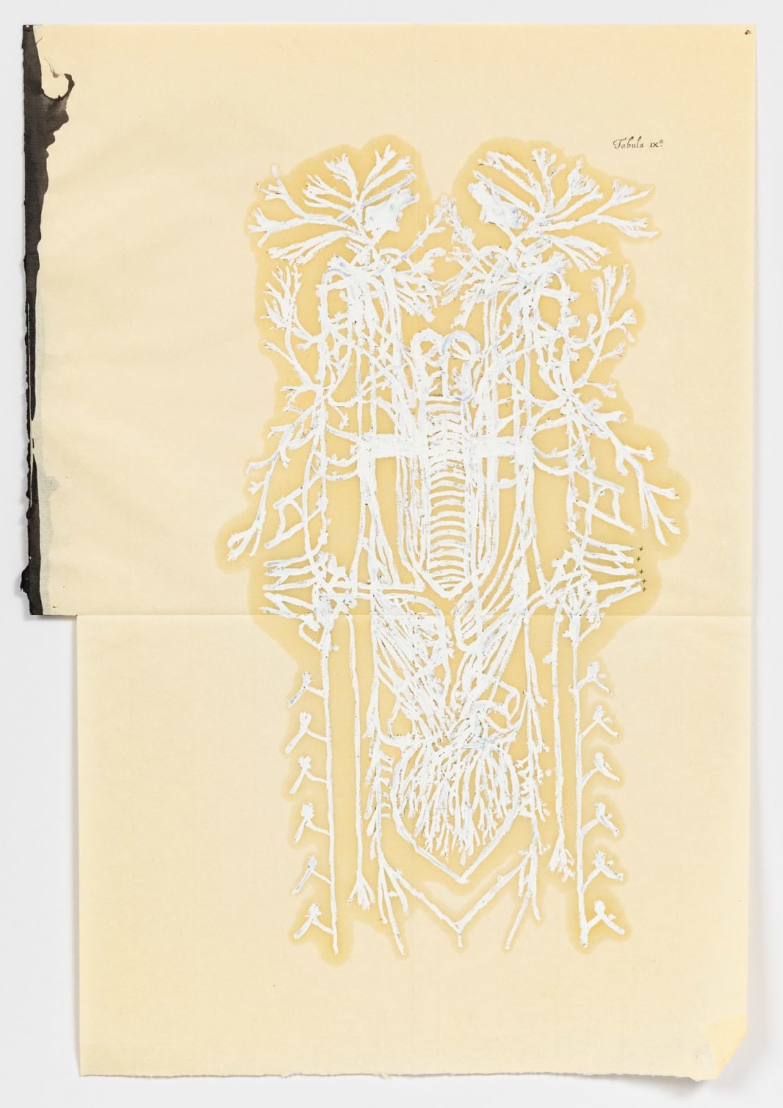 Caroline Boileau, Je m’innerve toute seule, une fois, deux fois, trois fois (1), 2018-2019