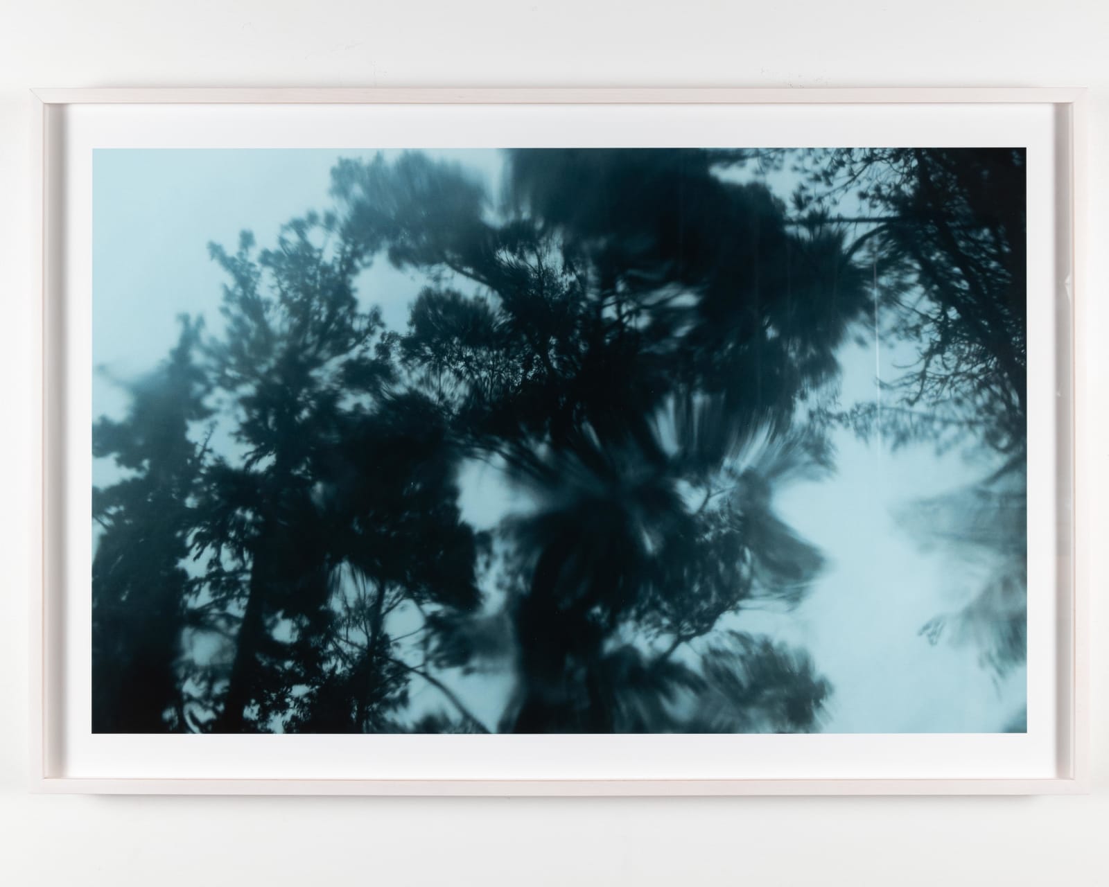 Ed Pien, RainForest 2, 2016