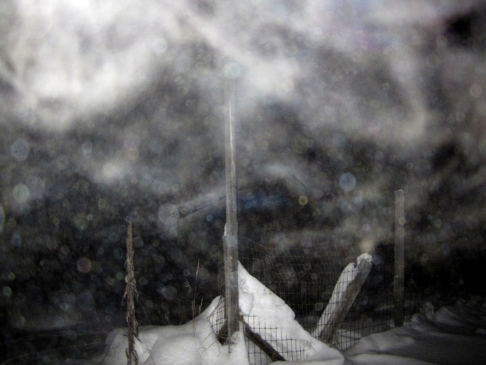 Ed Pien, Breath: Lingering, 2013