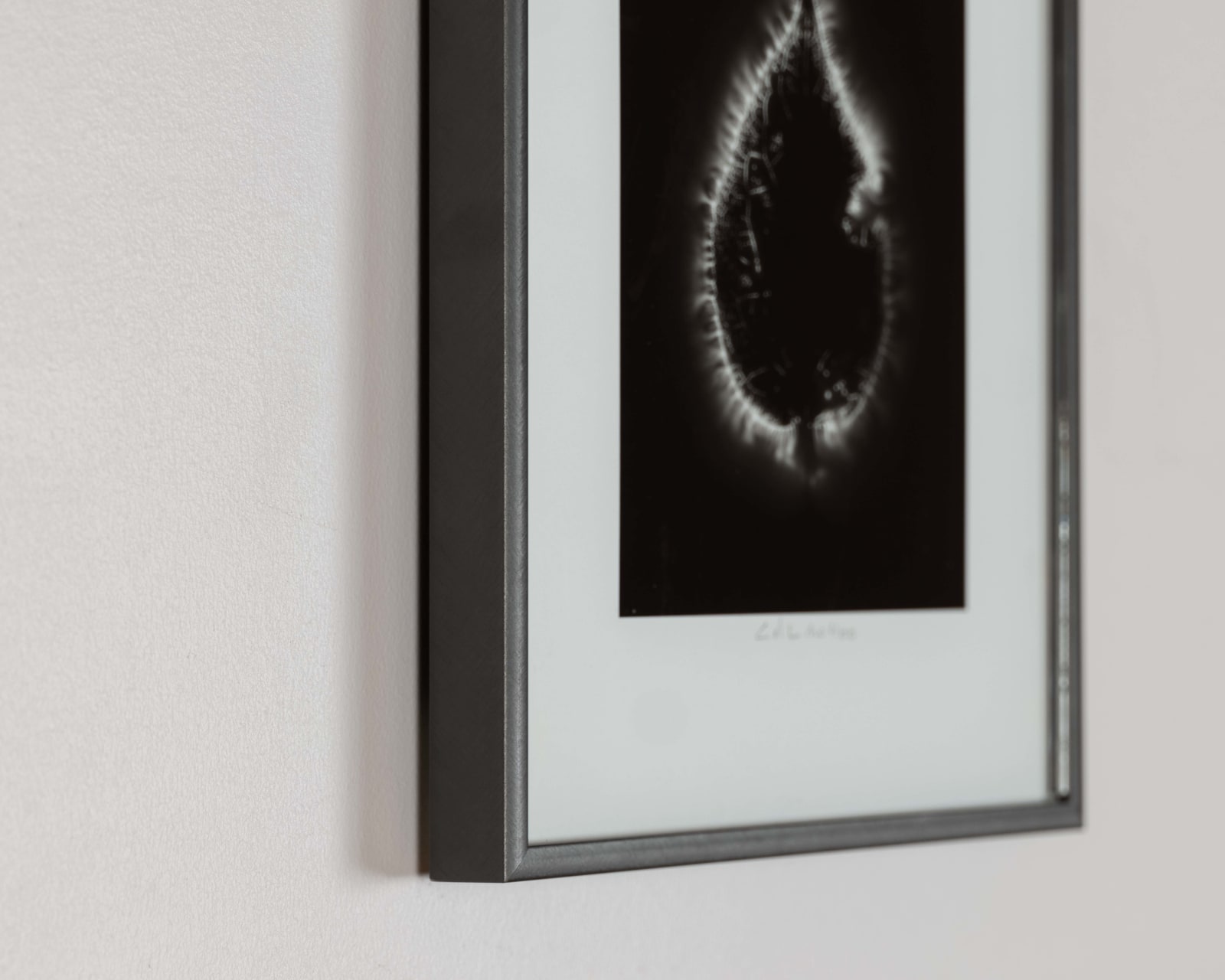 Marie-Jeanne Musiol, Corps de lumière #400 (Leaf), 2018