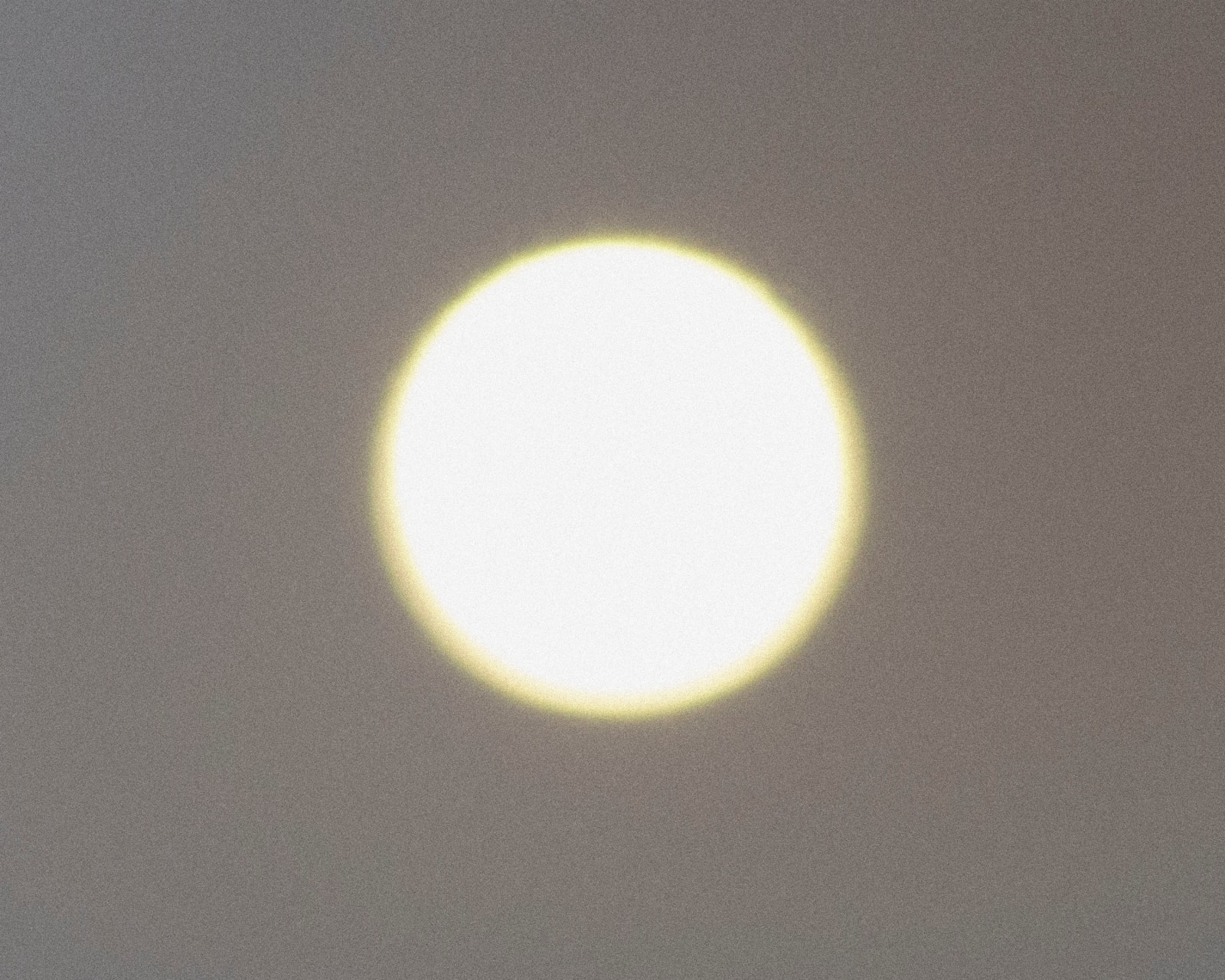 Chih-Chien Wang, Bright Circle, 2014