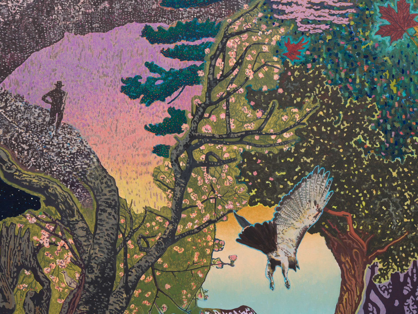 Aaron Morse, Wilderness, 2025