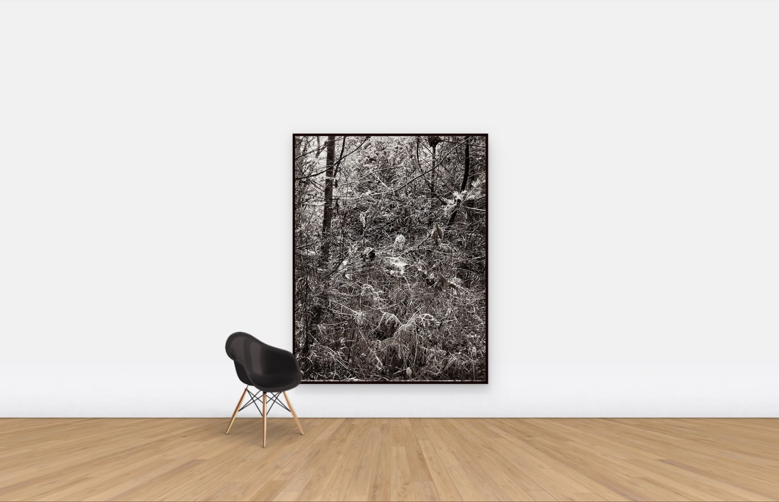 Michael Wesik, Cedar Thicket, Abeyance, Composition No. 5, 2022