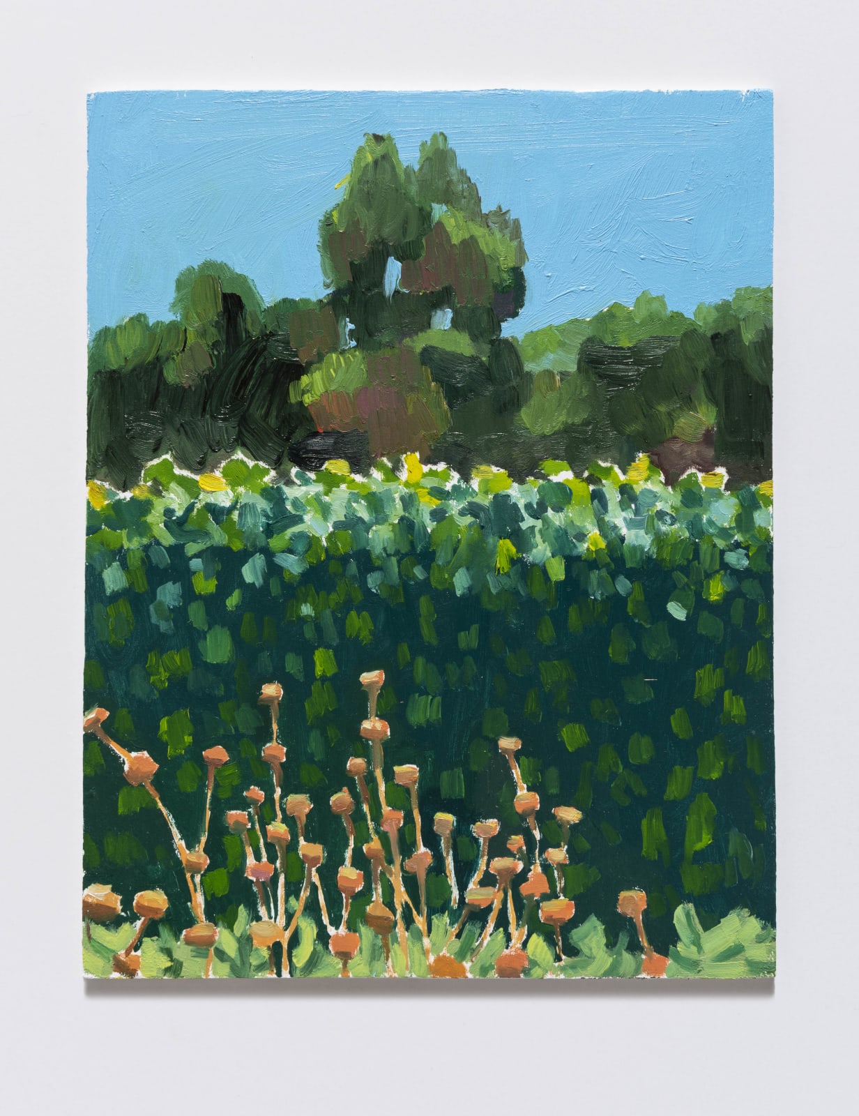 Tomory Dodge, Fence with Ivy, 2020