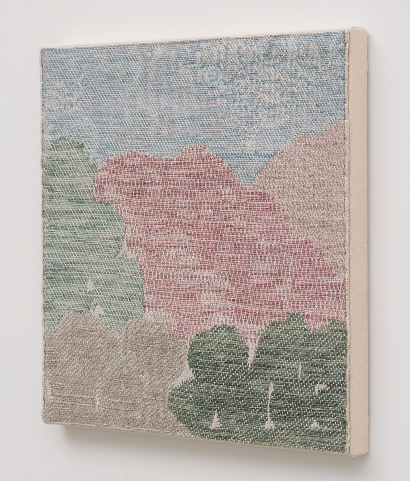 Christy Matson, Stone Pine, Cape Chestnut, 2024