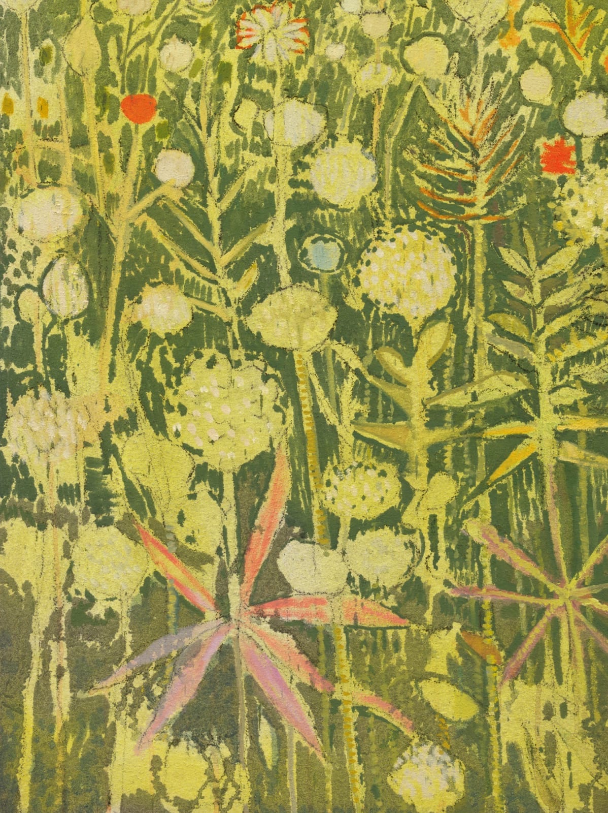 Sky Glabush, Wildflower Field, 2025