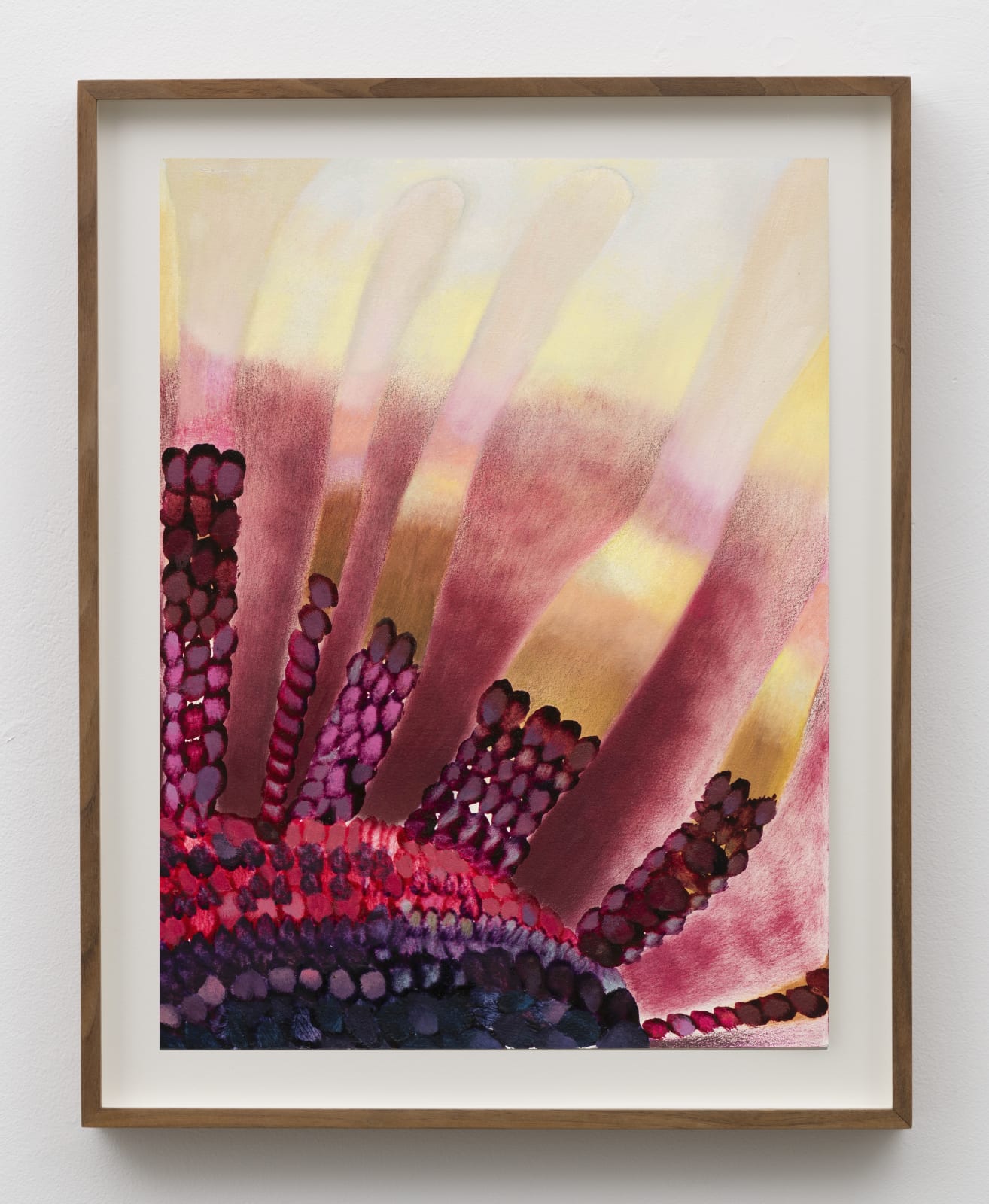 Kristy Luck, Imagine the Sound, 2020