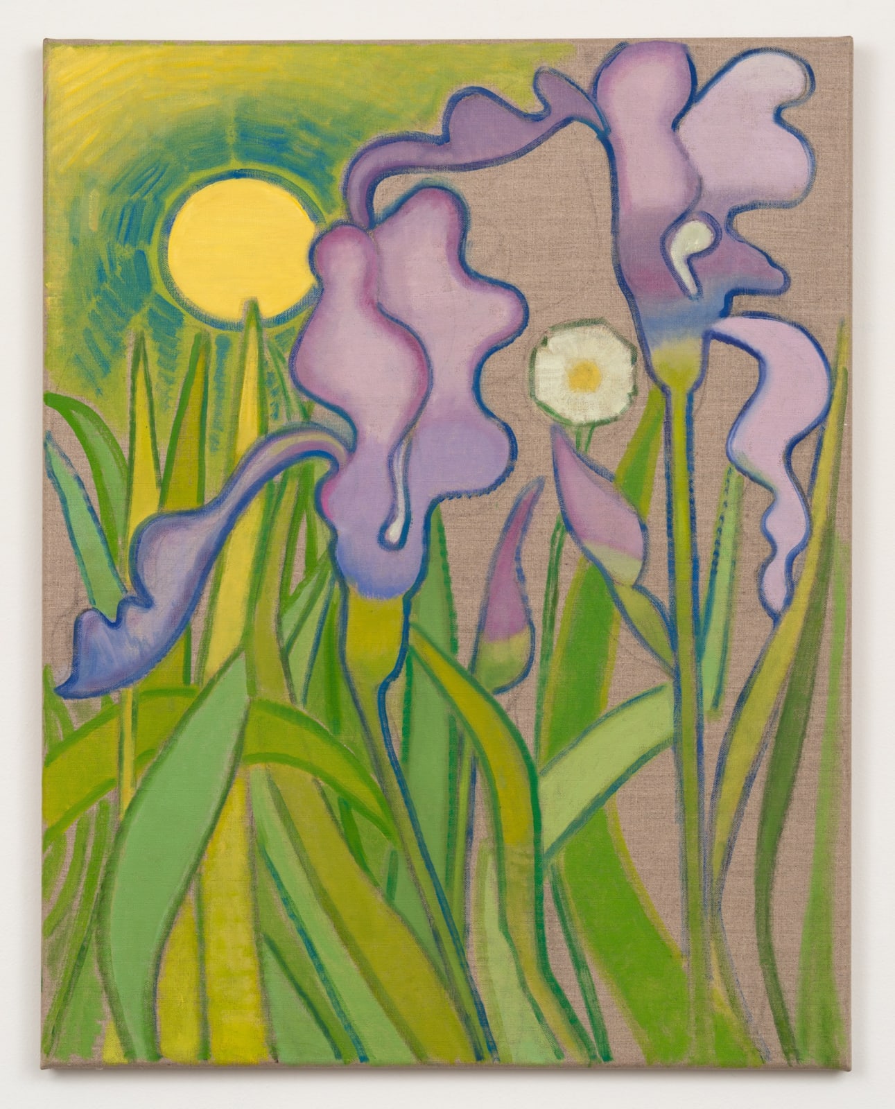 Laurie Nye, Irises in the Light, 2025