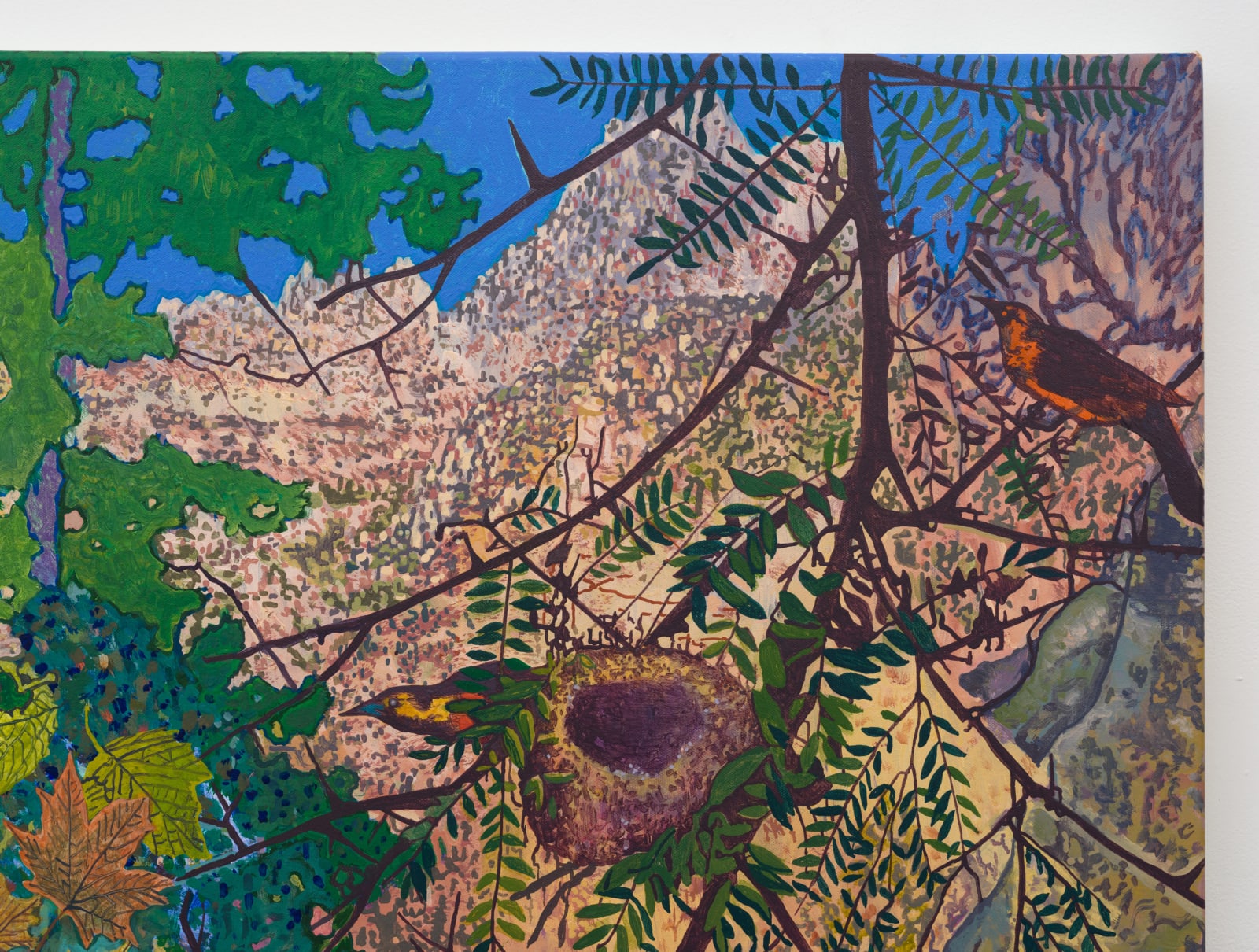 Aaron Morse, Wilderness, 2025