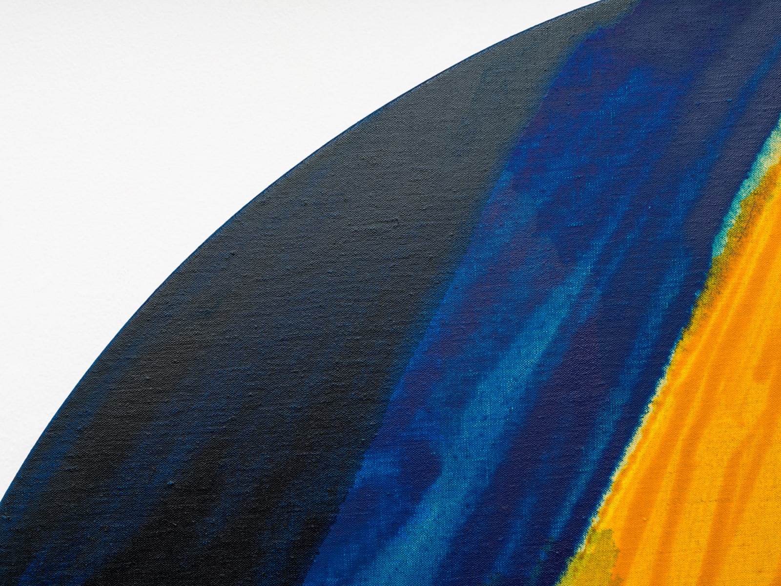 Pamela Jorden, Field, 2024