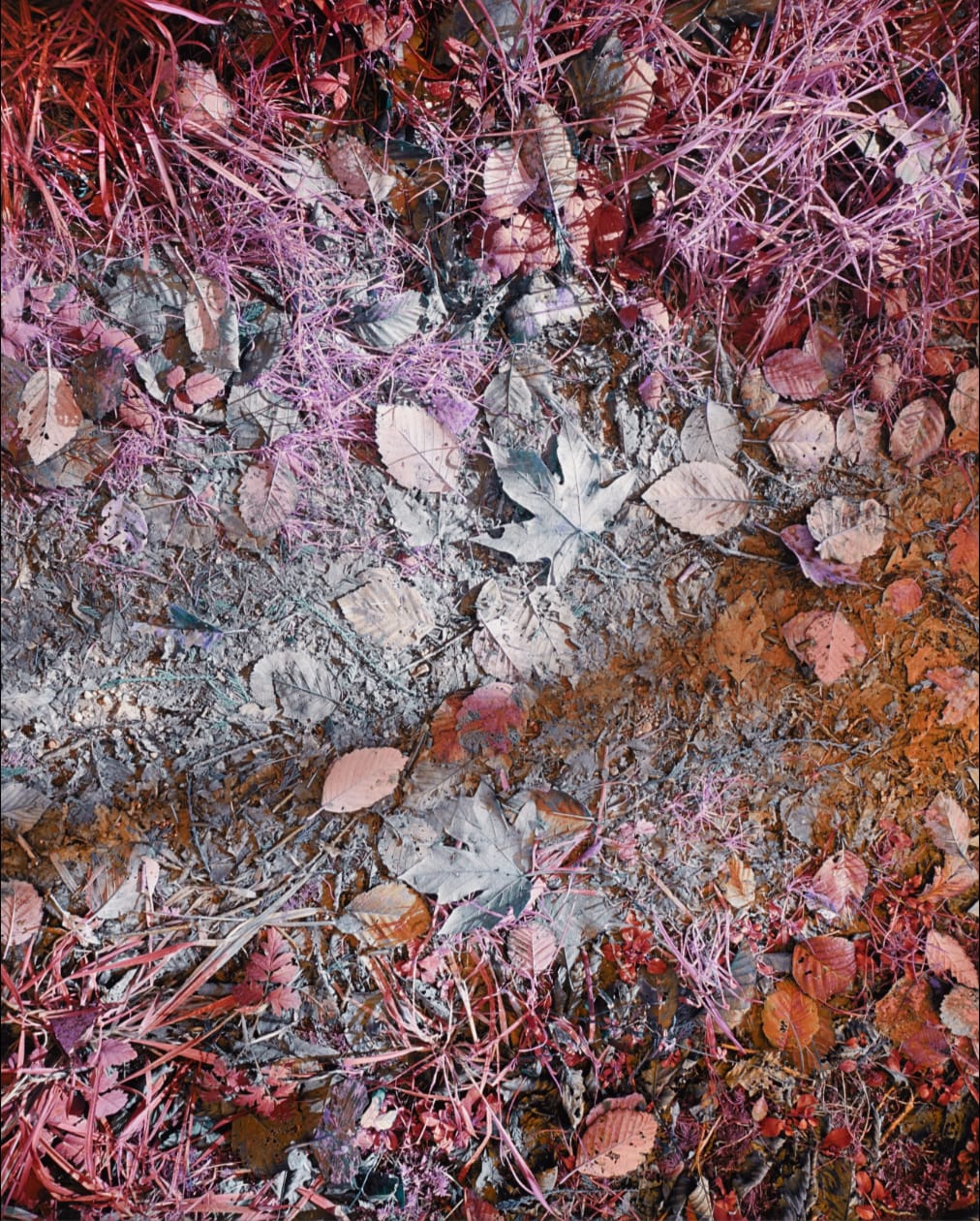 Michael Wesik, Leaf Collage, Composition No. 2, 2023