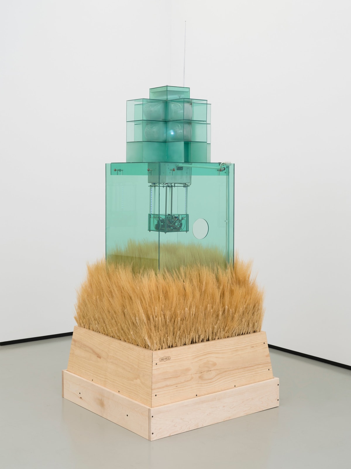 Carl Cheng, Early Warning System, 1969-2023