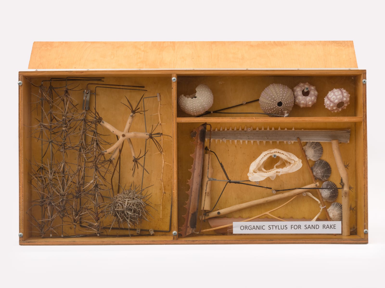 Carl Cheng, Natural Museum of Modern Art, 1979