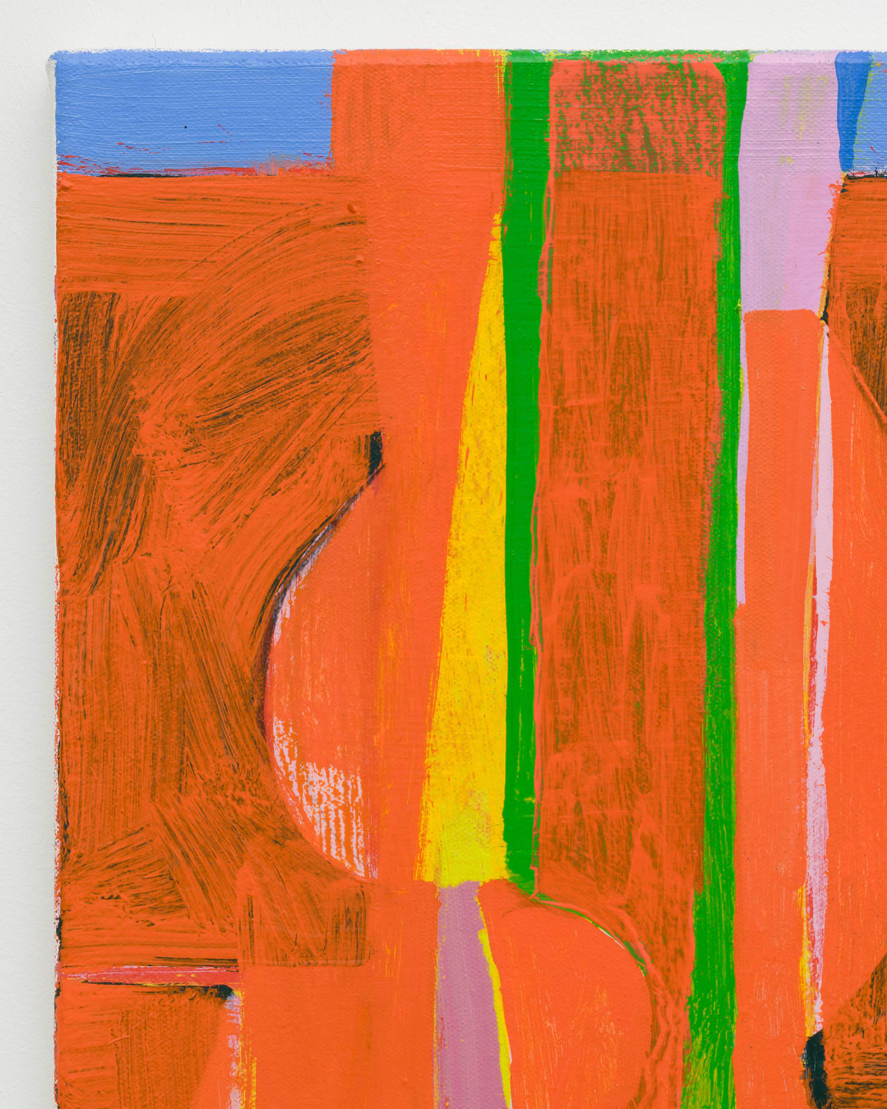 Tomory Dodge, Tomata Du Plenty, 2025