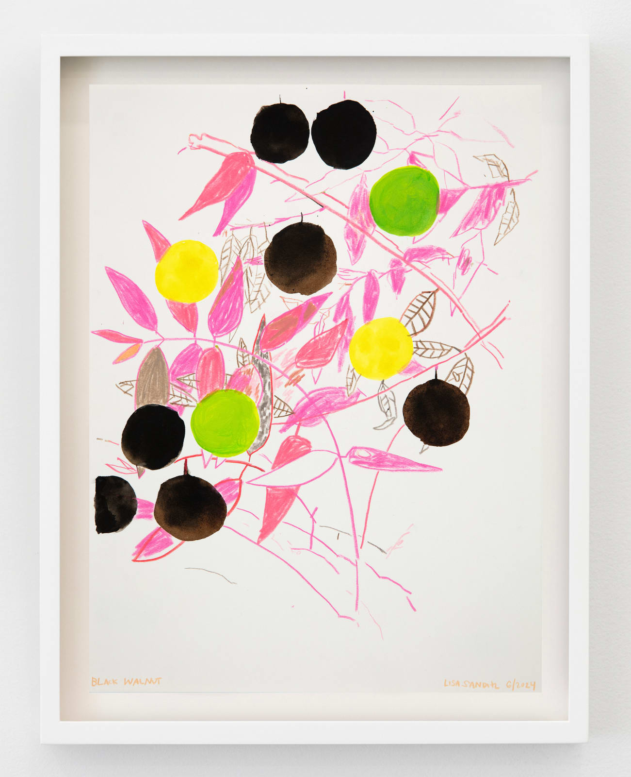 Lisa Sanditz, Black Walnut, 2024