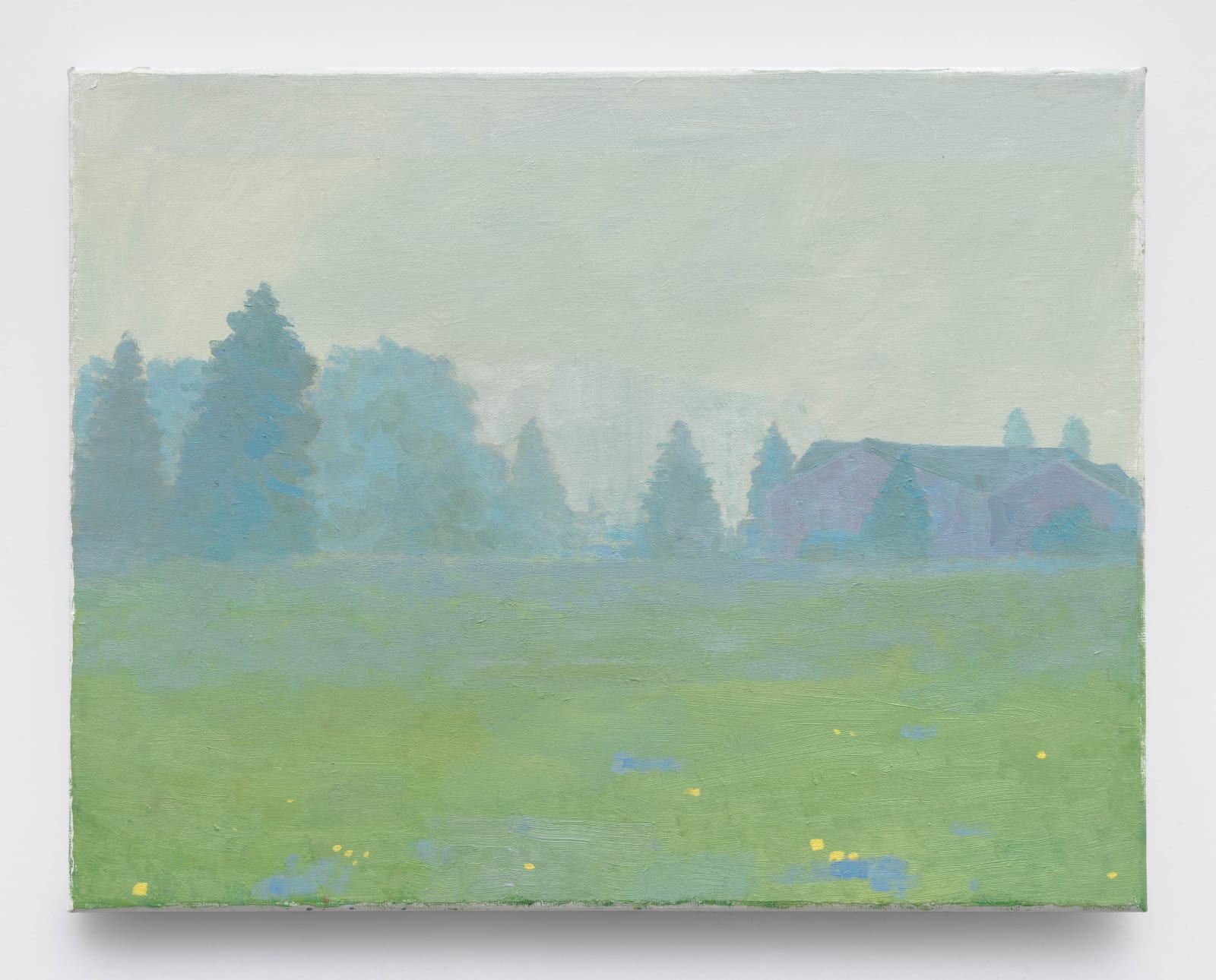 Tomory Dodge, Morning Fog, 2023