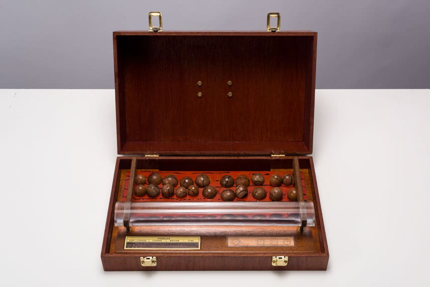 Carl Cheng, Organic Lens Viewer #1, 1971