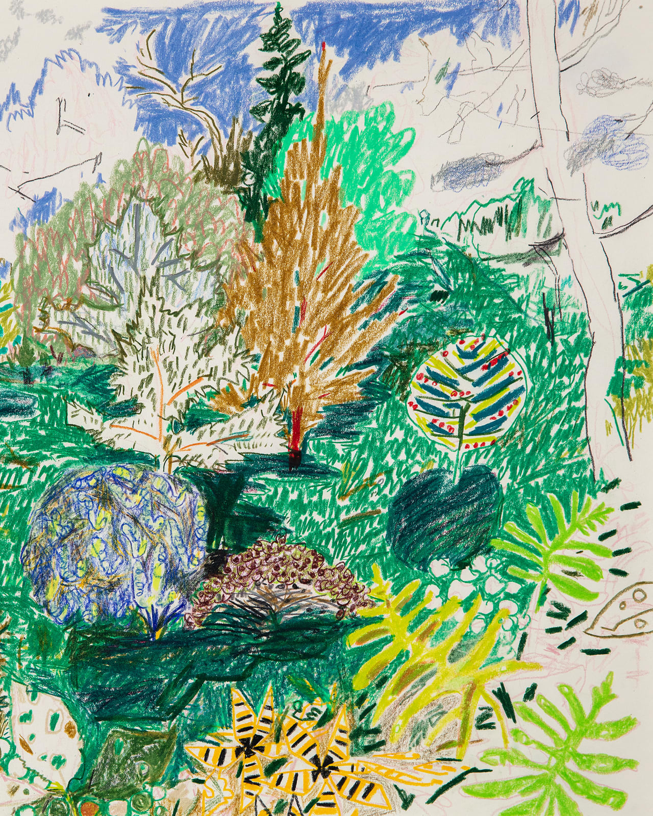 Lisa Sanditz, Forest and, 2024