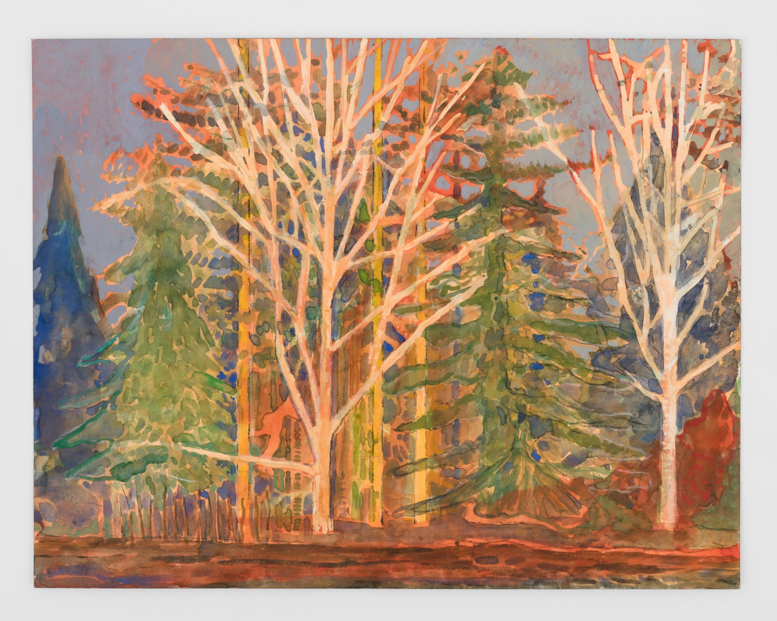 Sky Glabush, Orange Tree at Sundown (Study), 2024