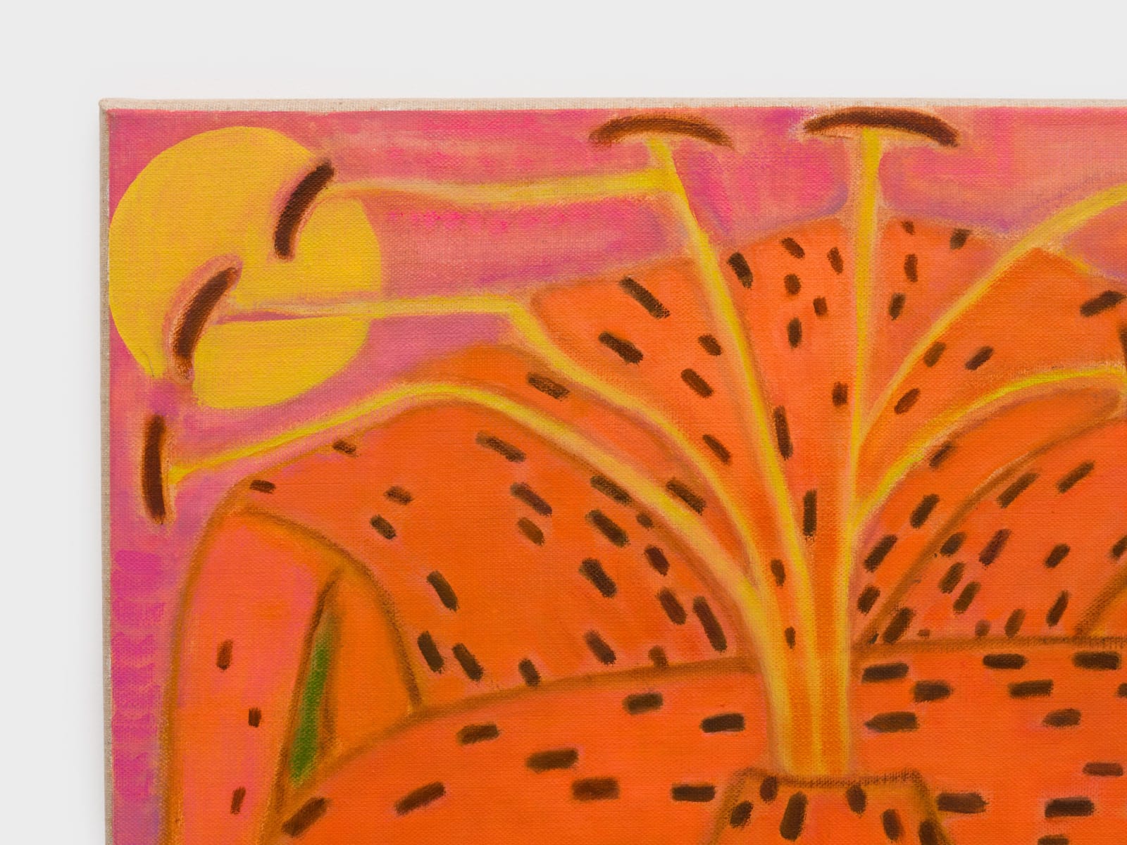 Laurie Nye, Humboldt Lily, 2025