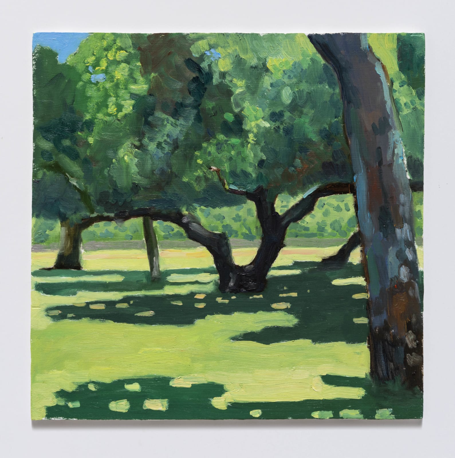 Tomory Dodge, San Pasqual Park, 2020