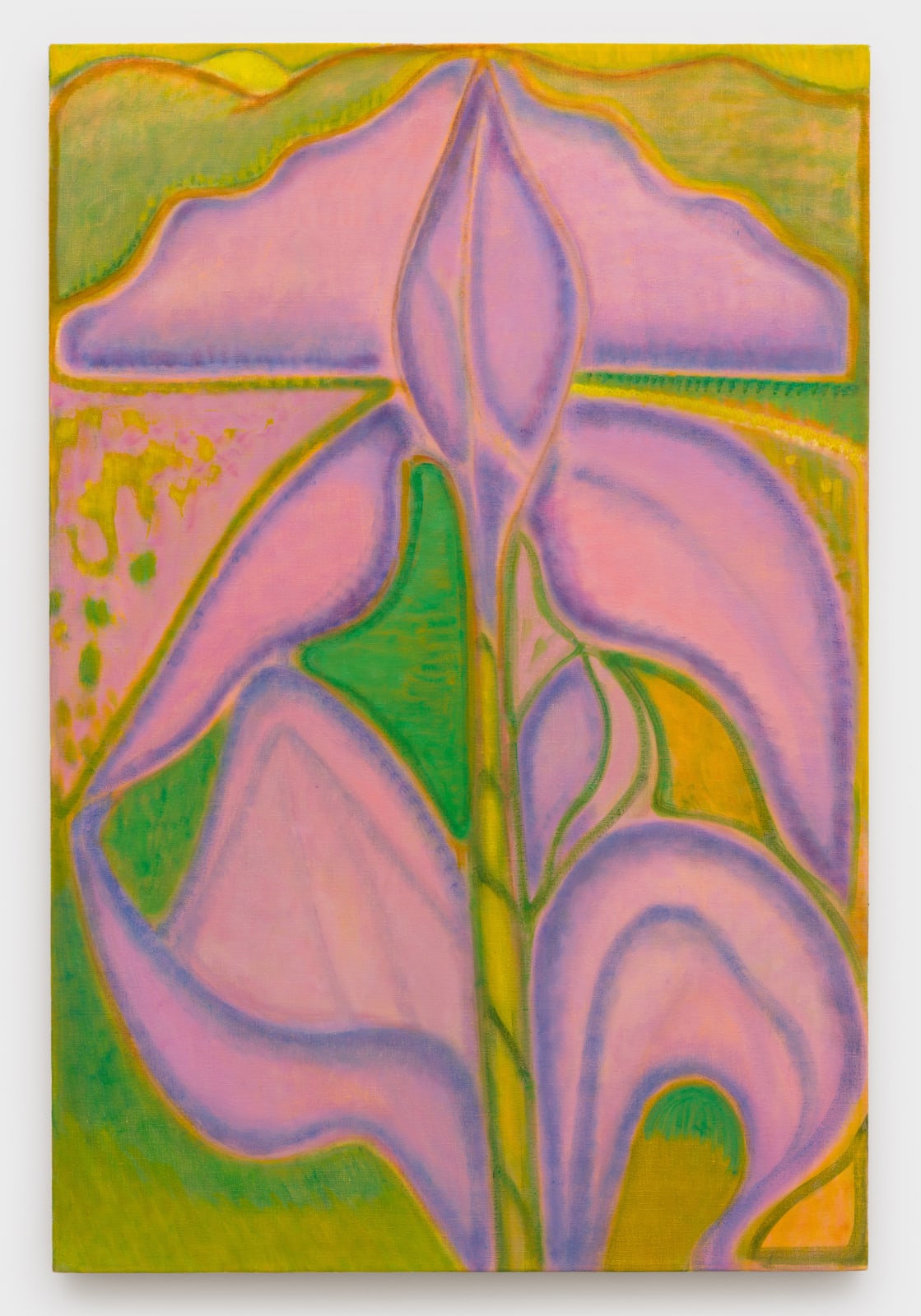 Laurie Nye, Mauve Iris, 2025