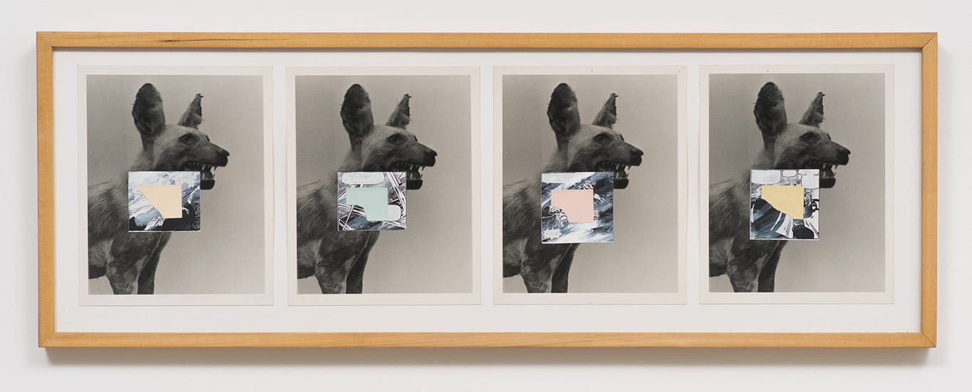 Pat O’Neill, Untitled (Dingo 4), 1980