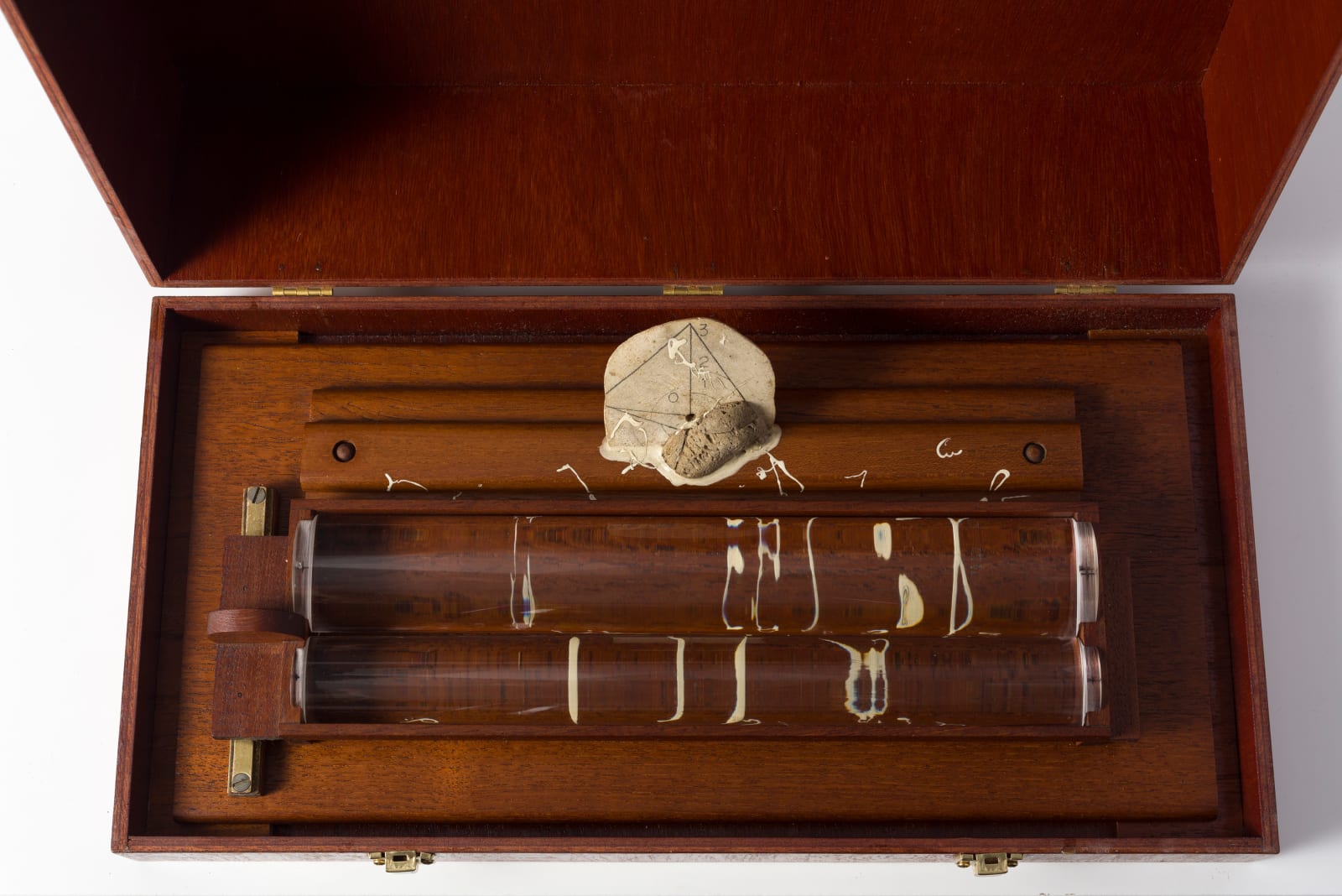 Carl Cheng, Organic Lens Viewer #2, 1972