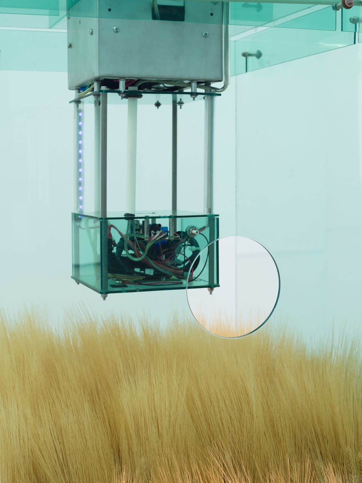 Carl Cheng, Early Warning System, 1969-2023